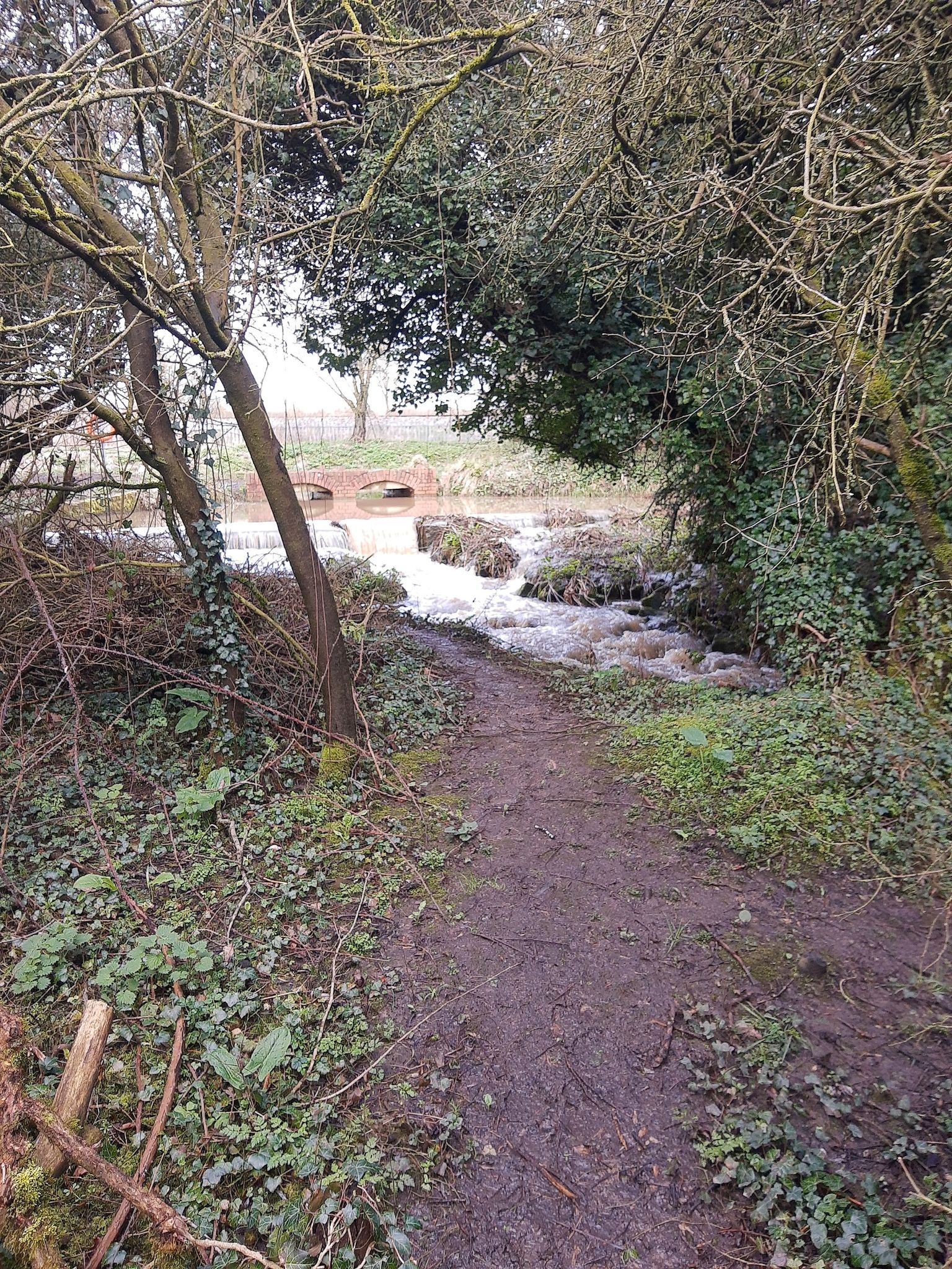 Canal overflow outlet