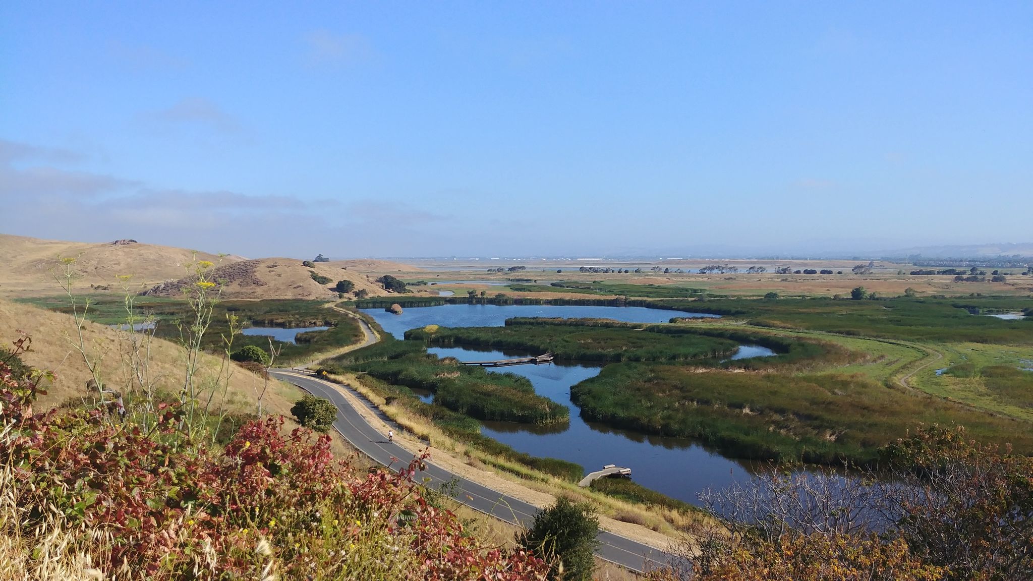Scenic view of a road beside winding waterways and marshland under blue sky. - Coyote Hills Regional Park loop from Ardenwood Boulevard & Commerce Drive