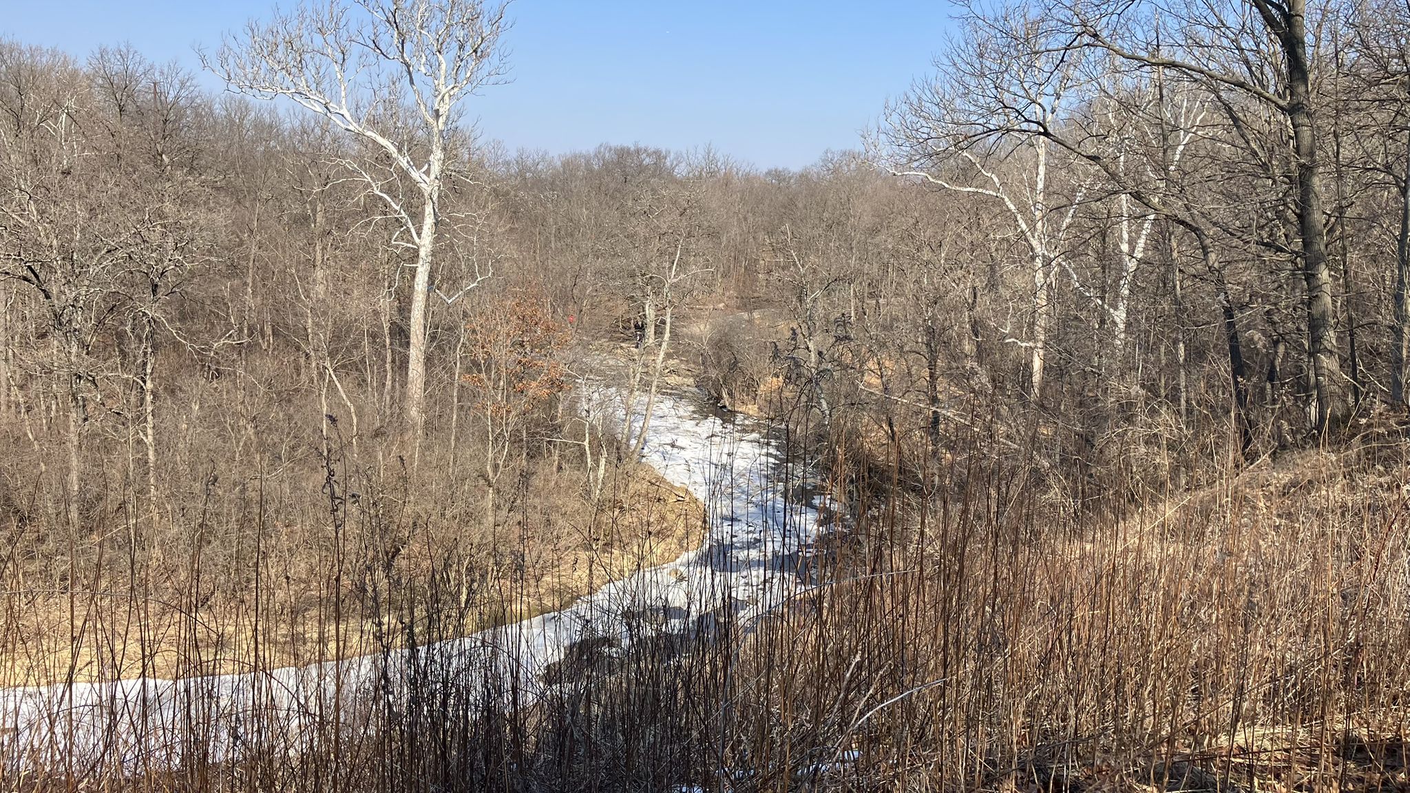 A winding snowy path through a winter forest with bare trees under clear sky. - Waterfall Glen Main Trail – Rocky Glen Waterfall loop from Waterfall Glen Forest Preserve