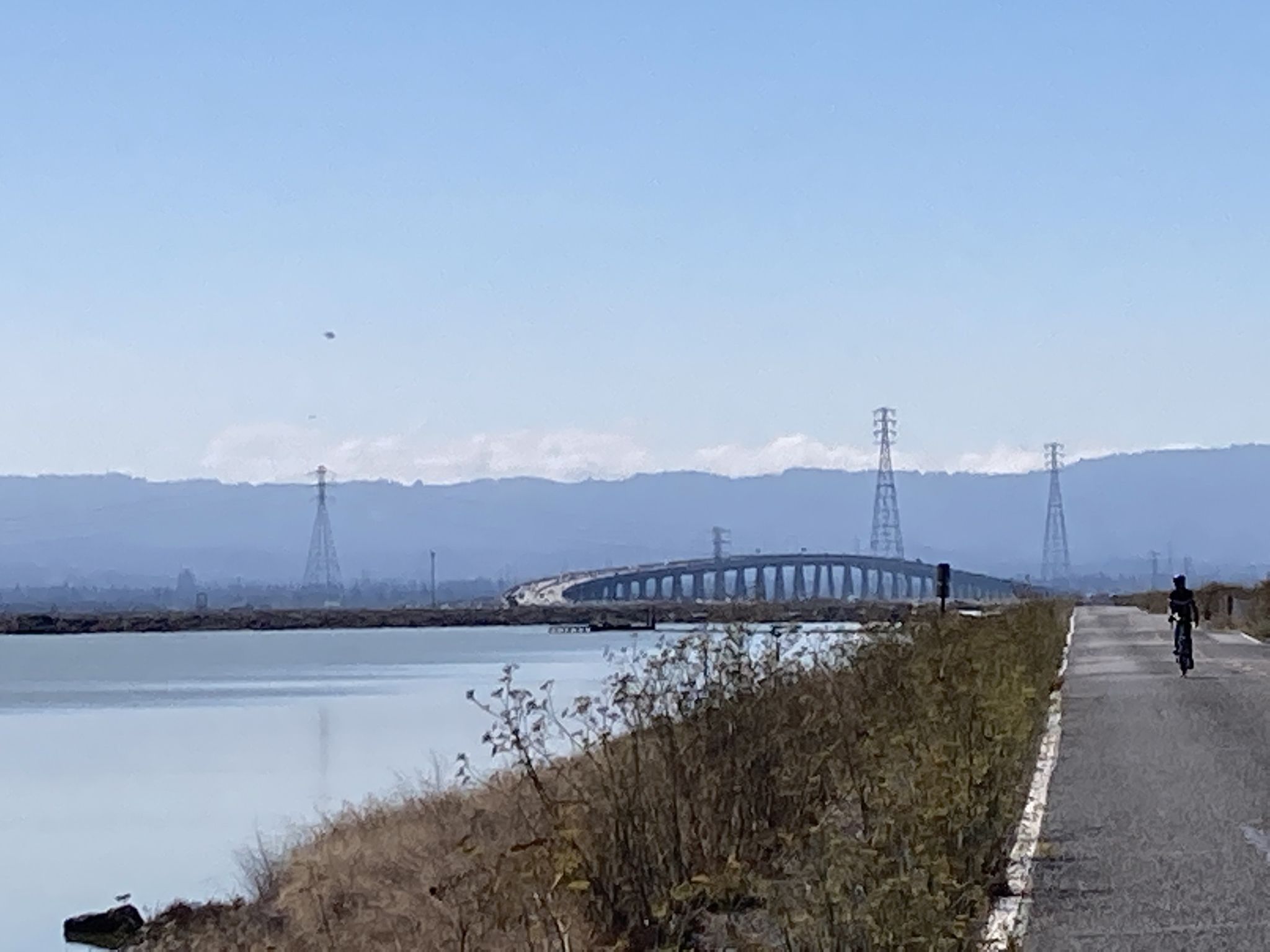 A cyclist rides on a paved path next to water with a bridge in the distance. - San Francisco Bay Trail: Dumbarton Bridge Loop