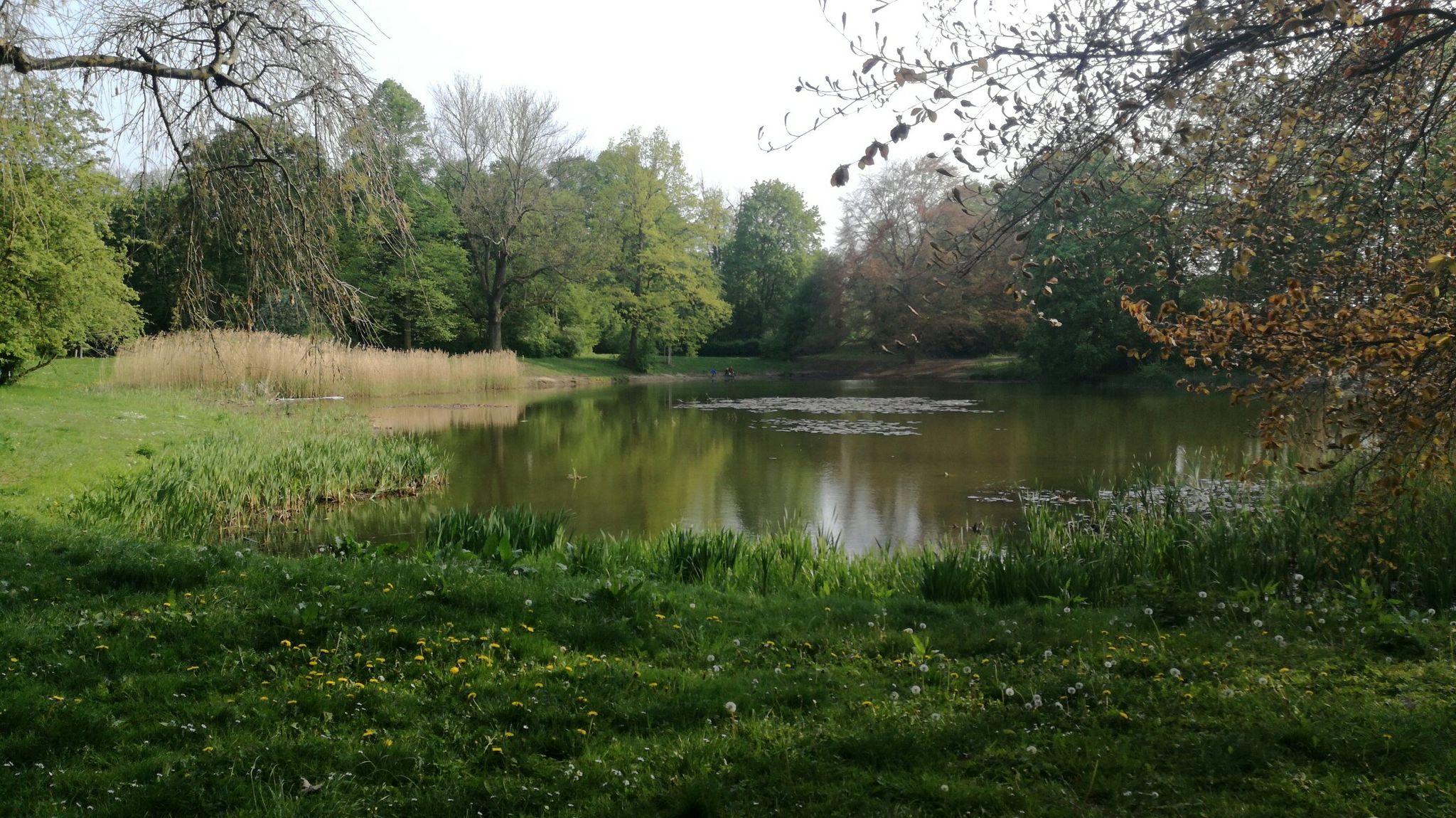Stünzer Parkteich