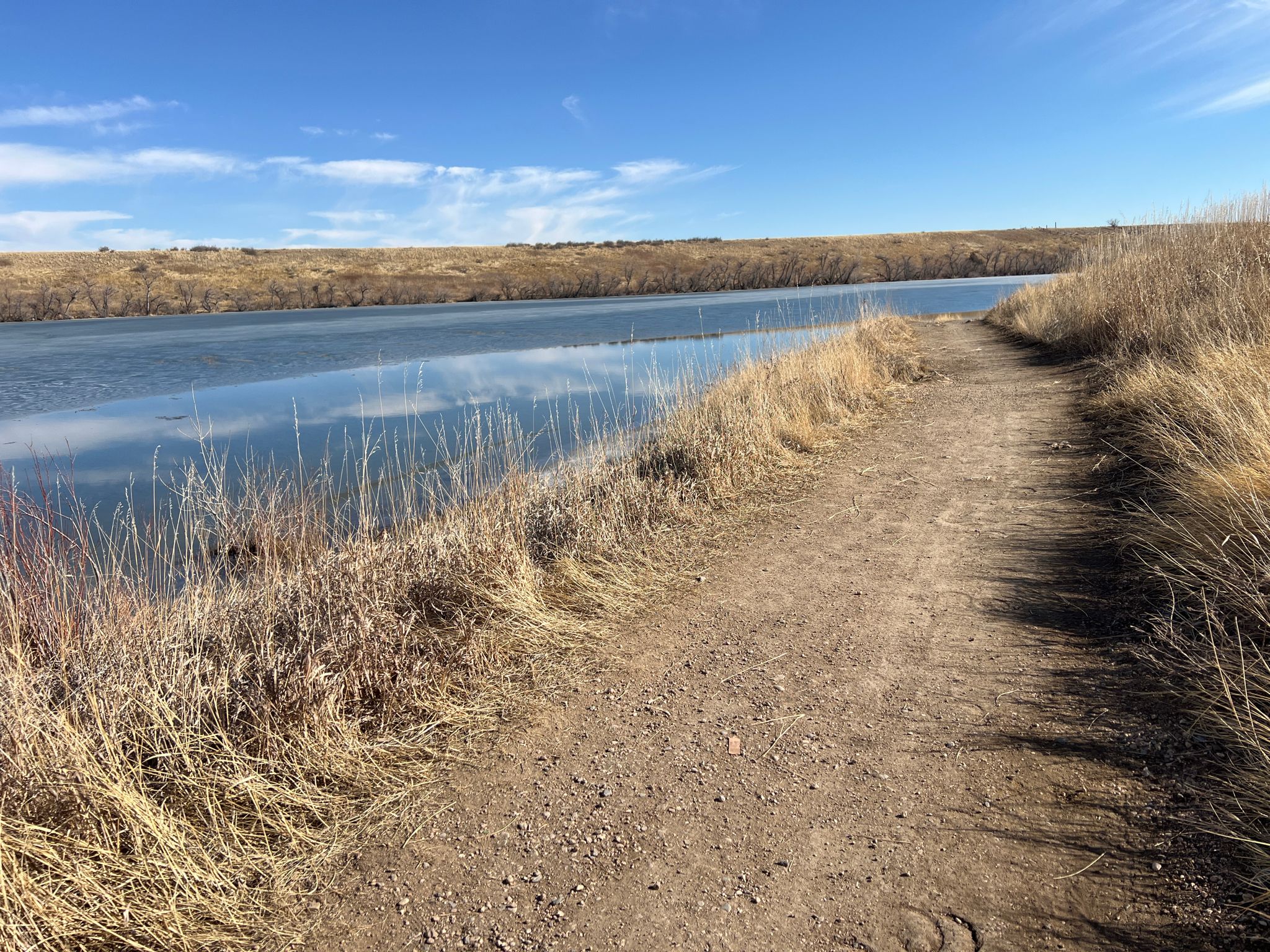 A dirt path winds alongside a calm lake with dry grass under a clear sky. - Foothills Trail