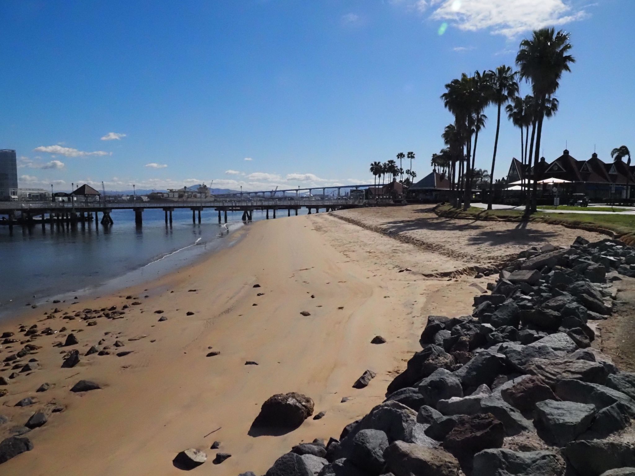 Sunny beach with a long pier, palm trees, and distant buildings. - Bayshore Bikeway: Centennial to Tidelands Park