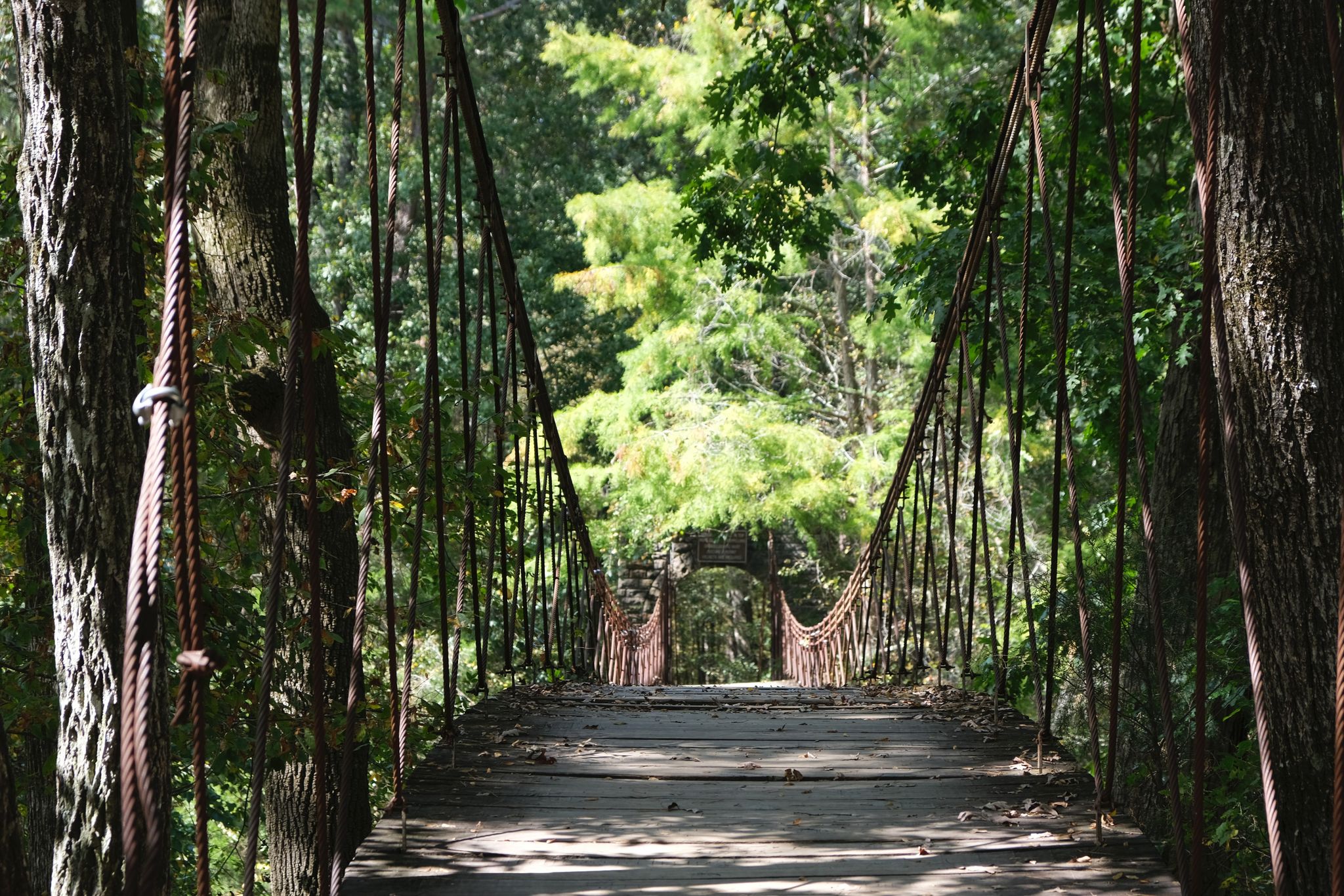 Wooden suspension bridge leading into a sunlit green forest, dappled light. - CCC Camp Trail