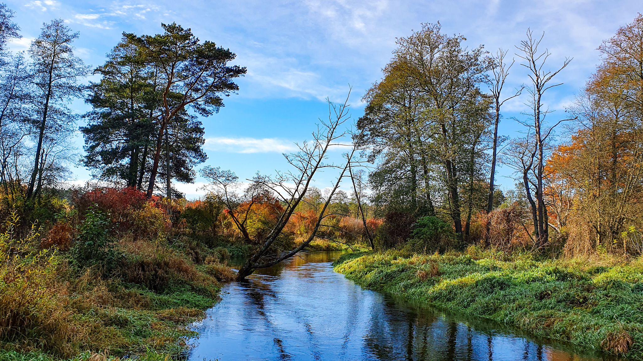Cudne jesienne klimaty rezerwatu rzeki Rawka