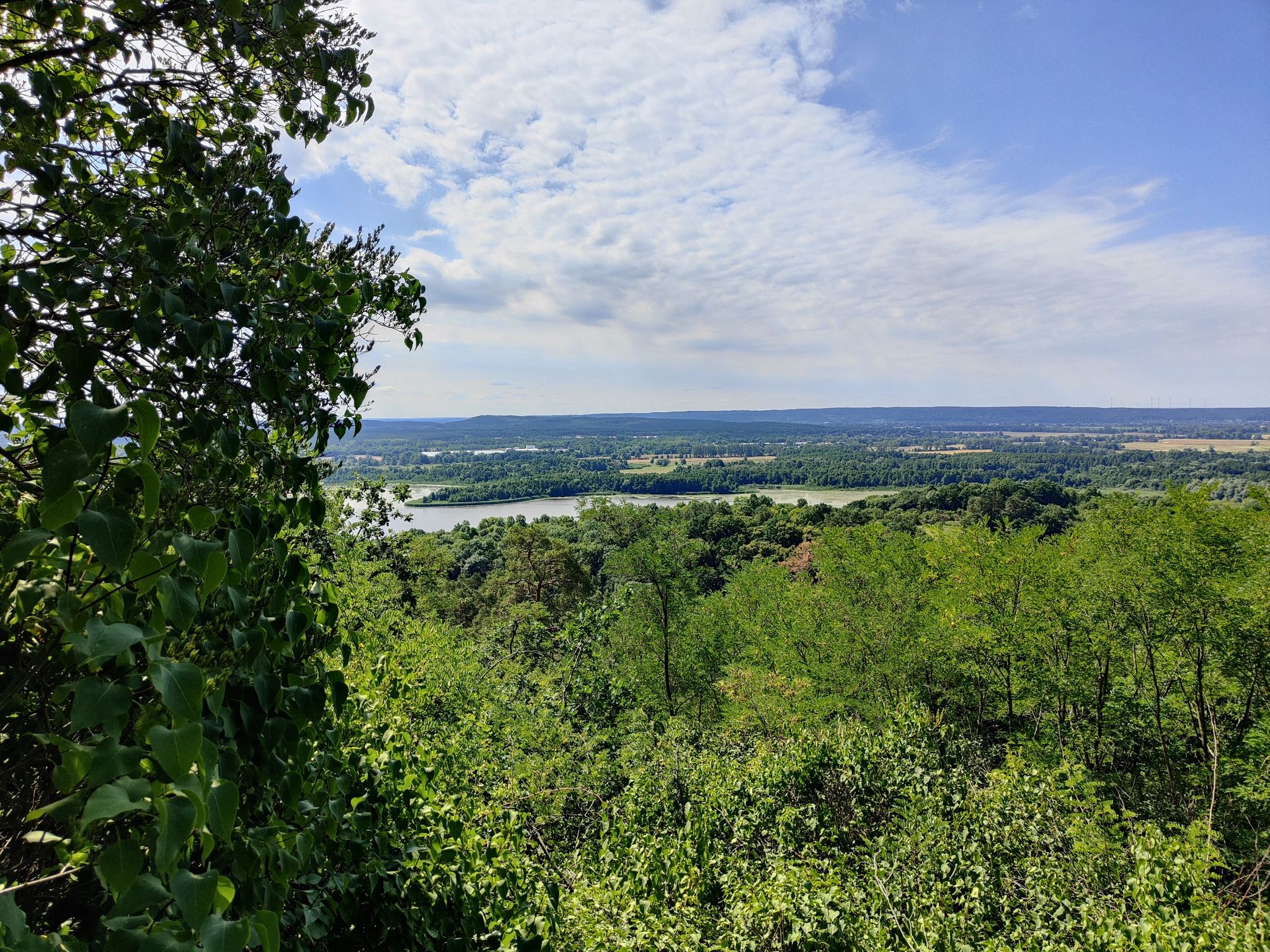 Pimpinellenberg - Blick zum Oderberger See (Alte Oder)