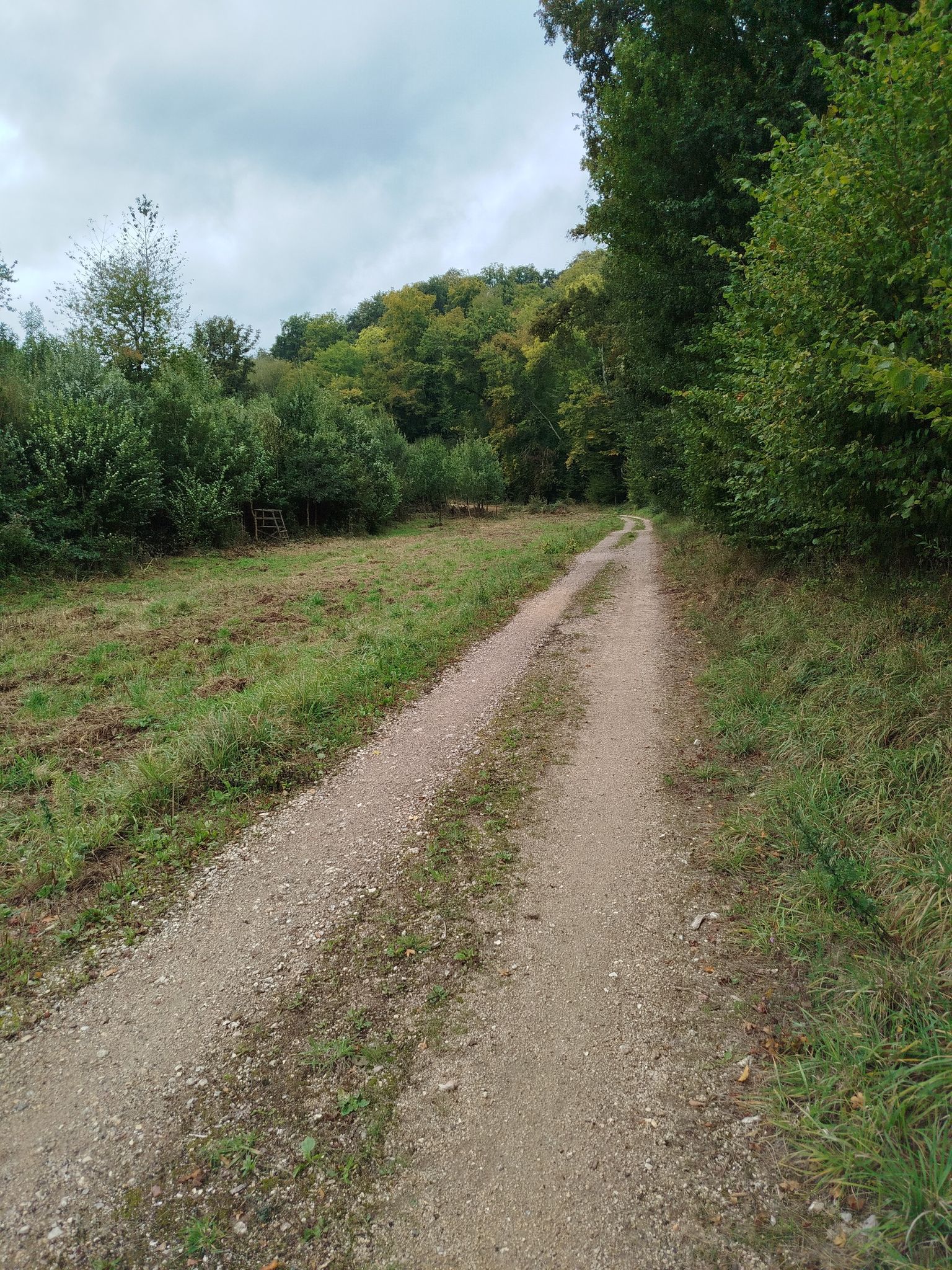 chemin du sanglier