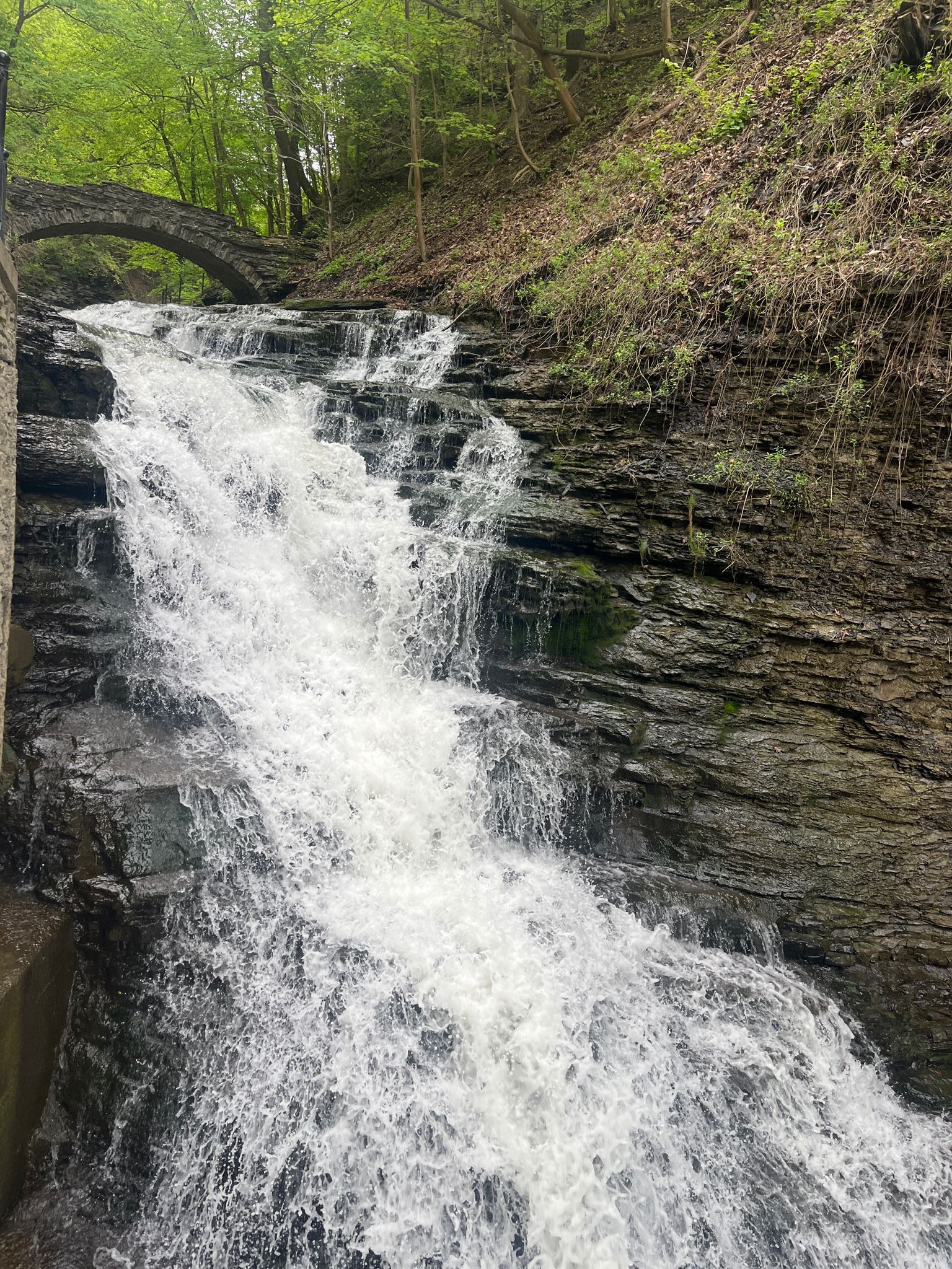 Steep waterfall cascades down rocky terrain, with a stone arch bridge above. - Ithaca Commons – Cornell University loop from Ithaca