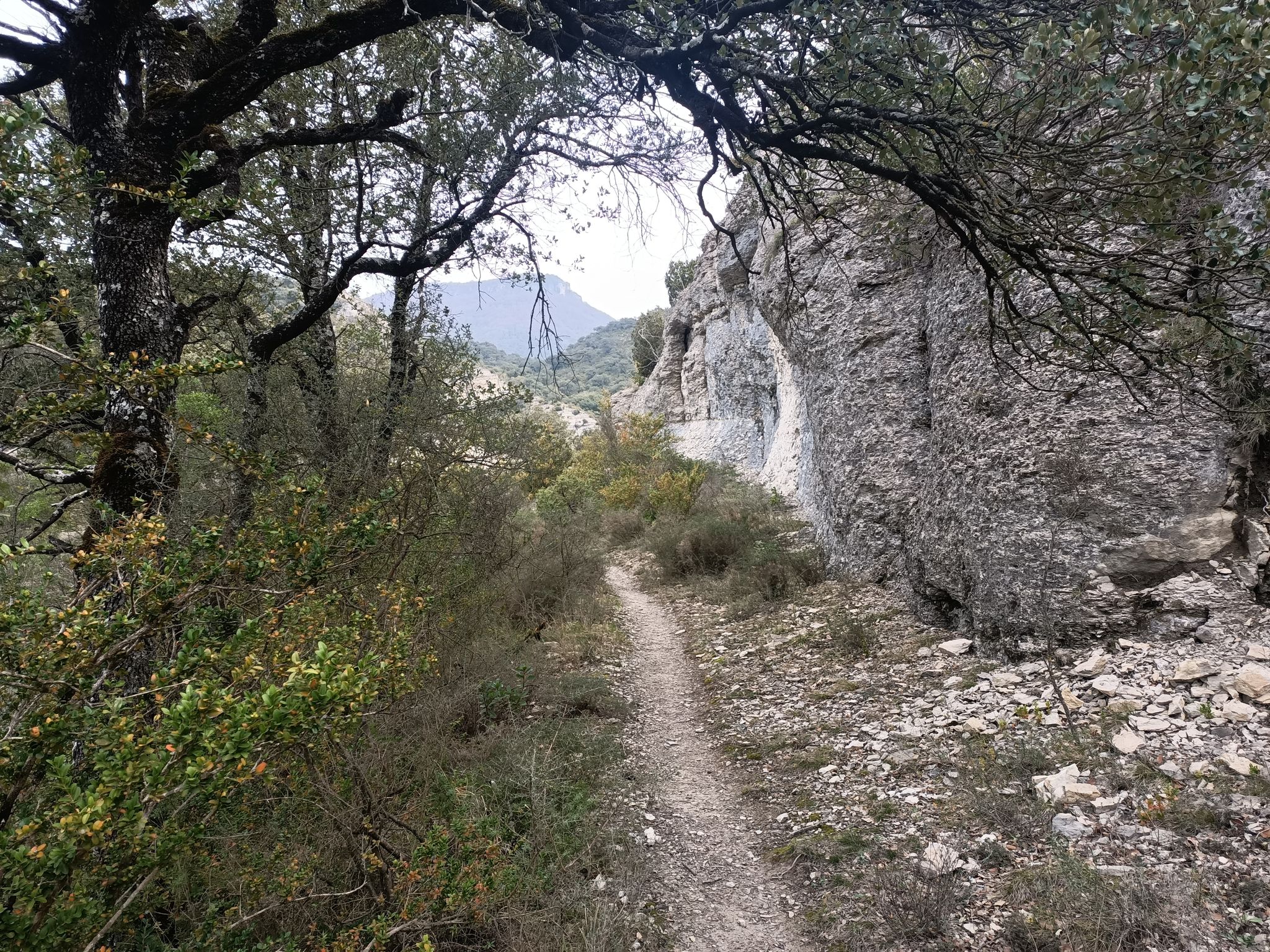 Sendero entre la Encina de Basaura e Itxako