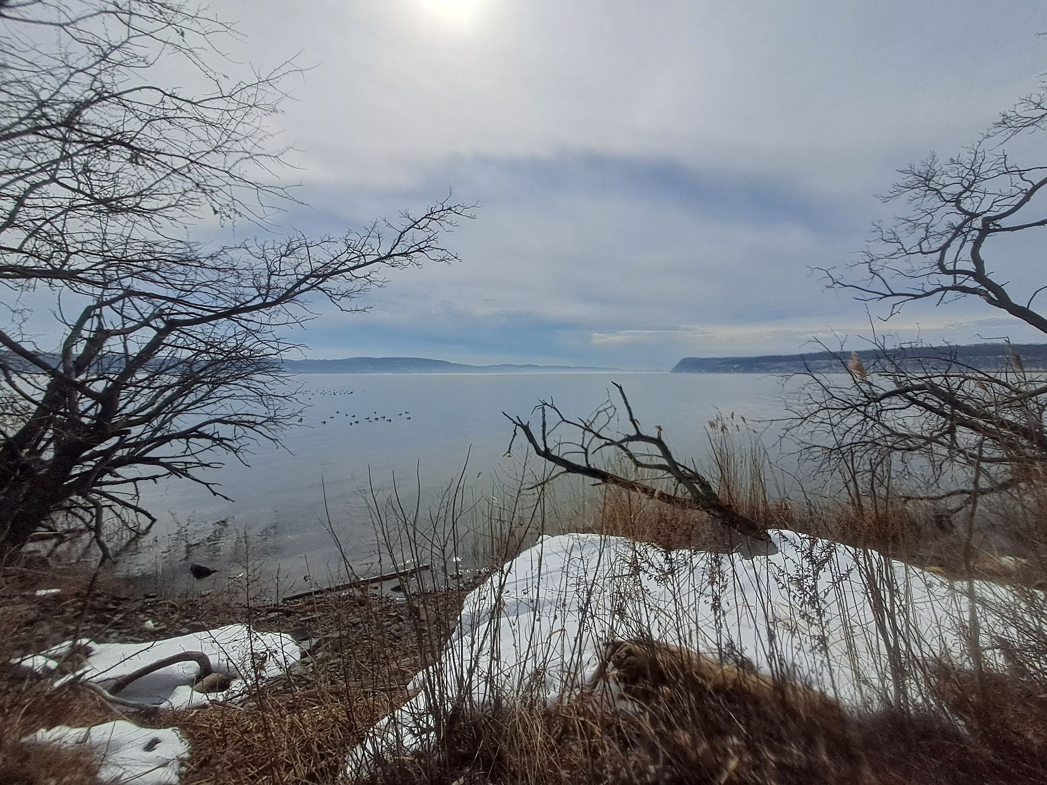 Overcast winter landscape with bare trees framing a wide body of water. - Piermont Pier