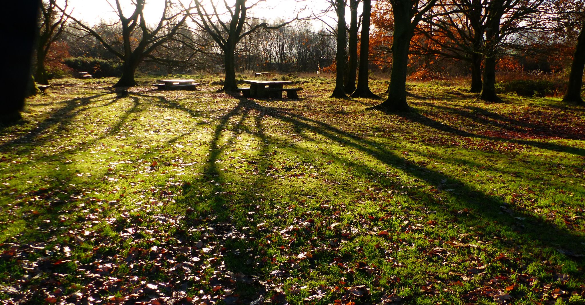 Wessington Green