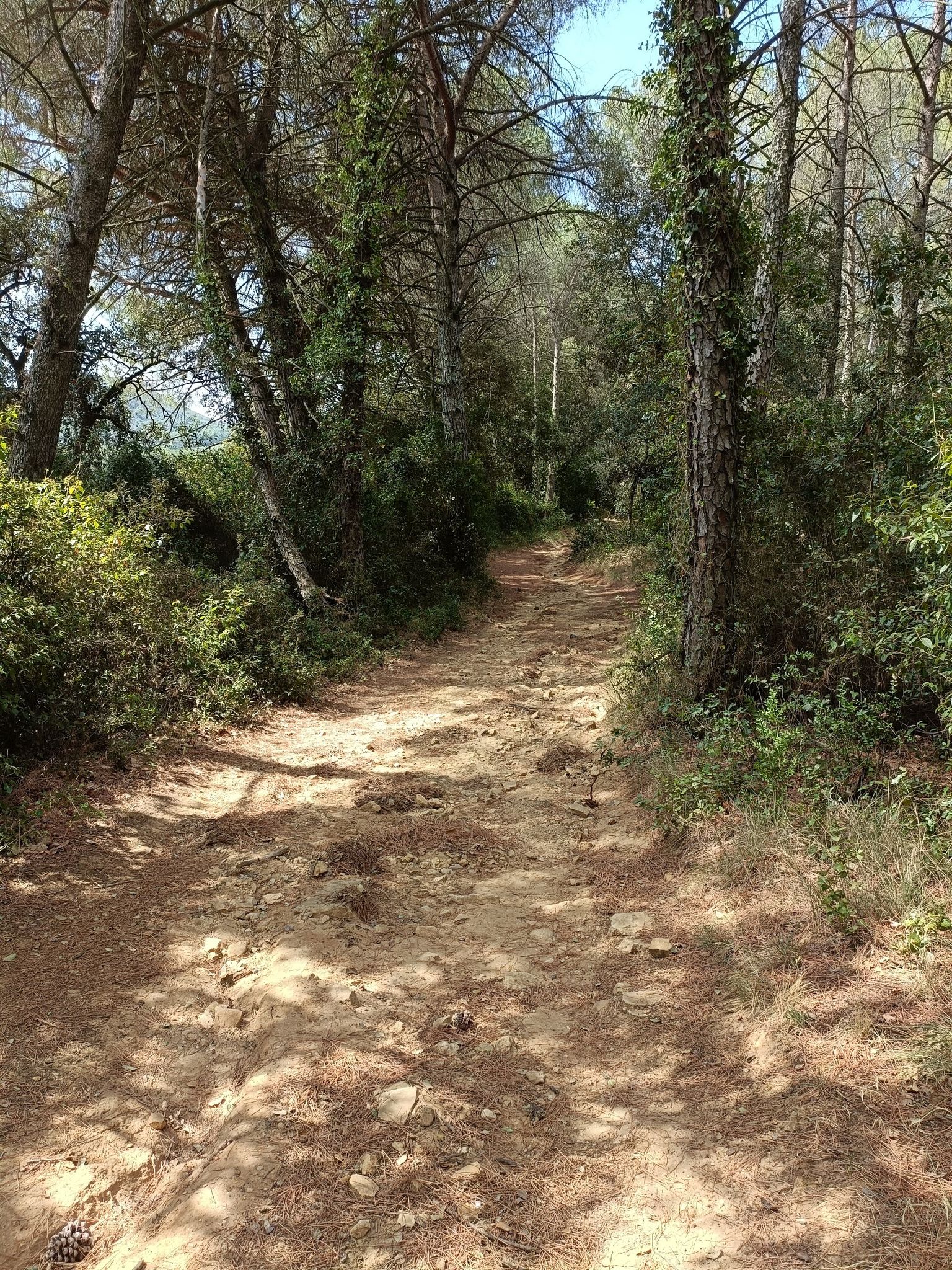 Descente remplie d'ornieres