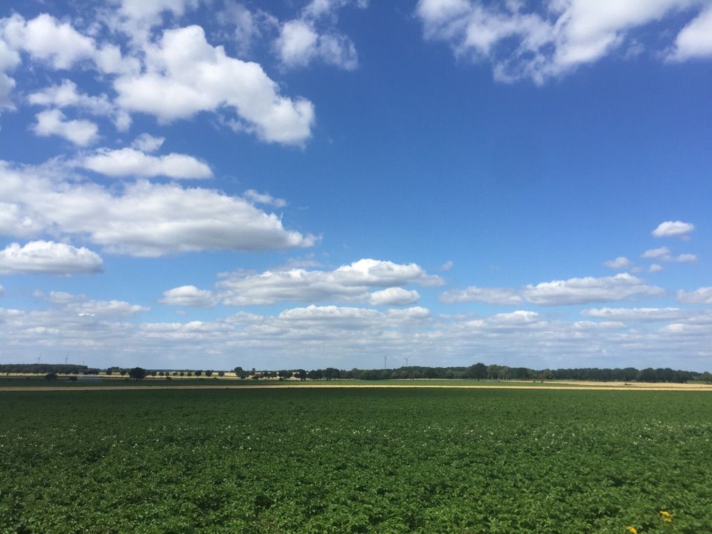 Blick von Hankensbüttel nach Norden