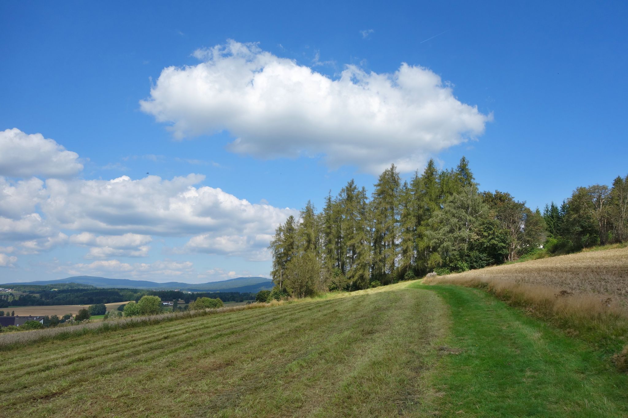Schöner Wiesenweg hoch zum Kalvarienberg (Im Higru die Fichtelgebirgstausender)