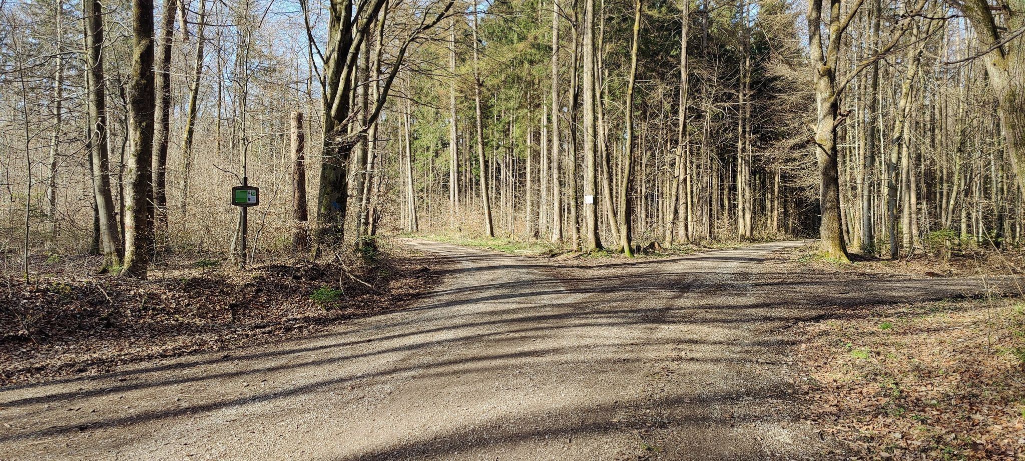 rechts oder links - heute mal links
