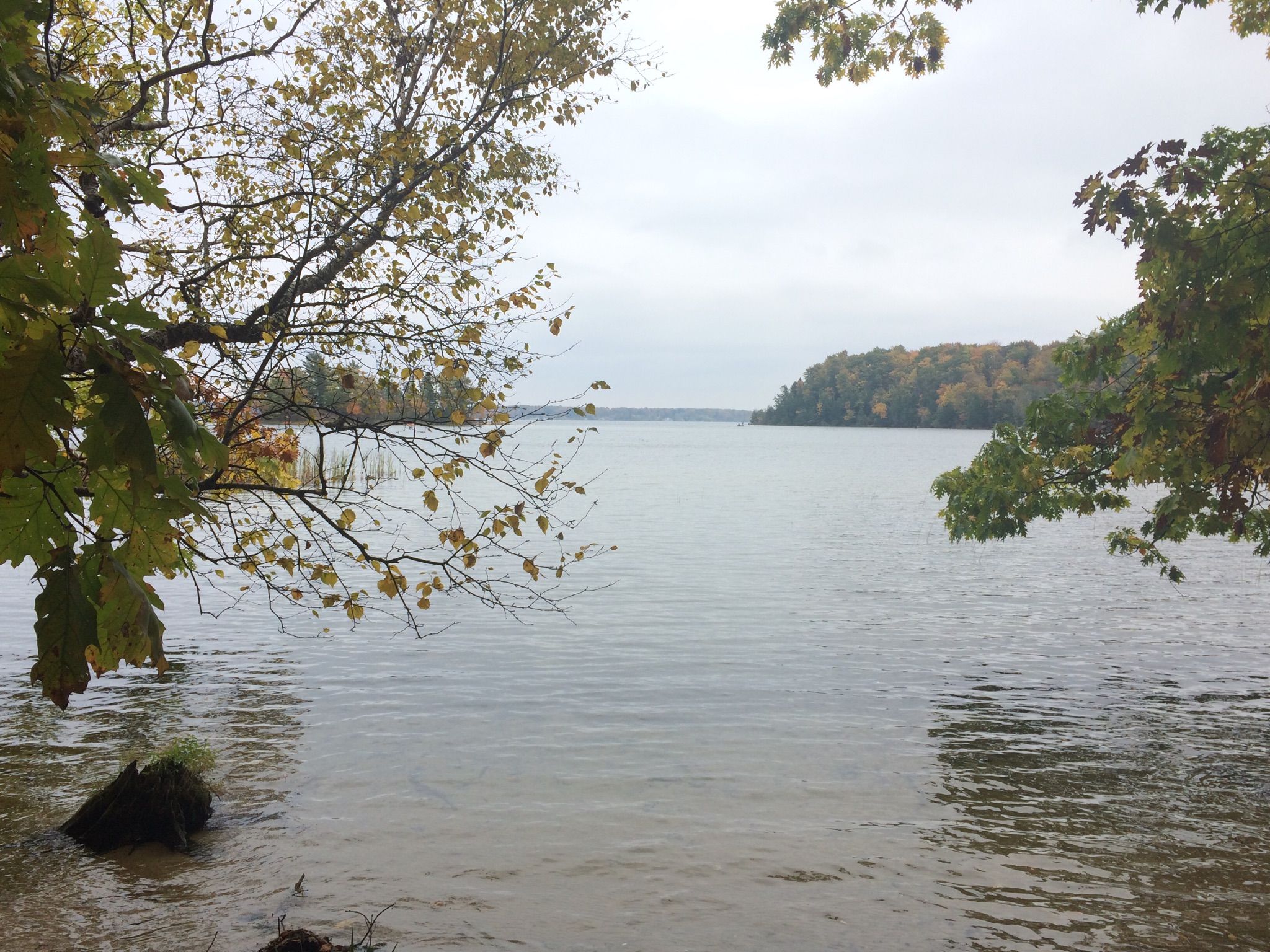 A wide lake with forested shores under an overcast sky, framed by trees. - Nordhouse Dunes Extended Backpacking Loop