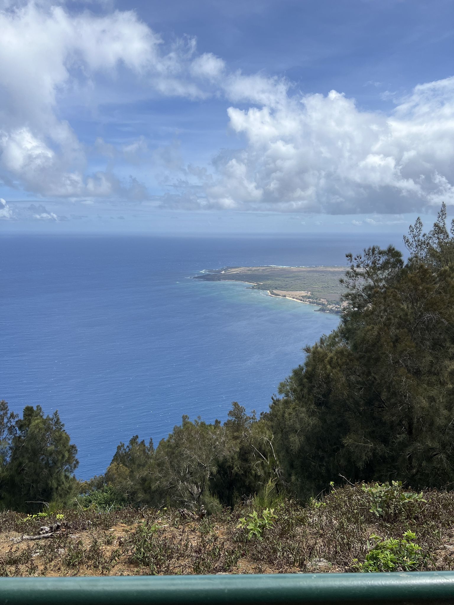 Expansive blue ocean view from a hillside, with distant coastline and trees. - Phallic Rock & Kalaupapa Lookout run