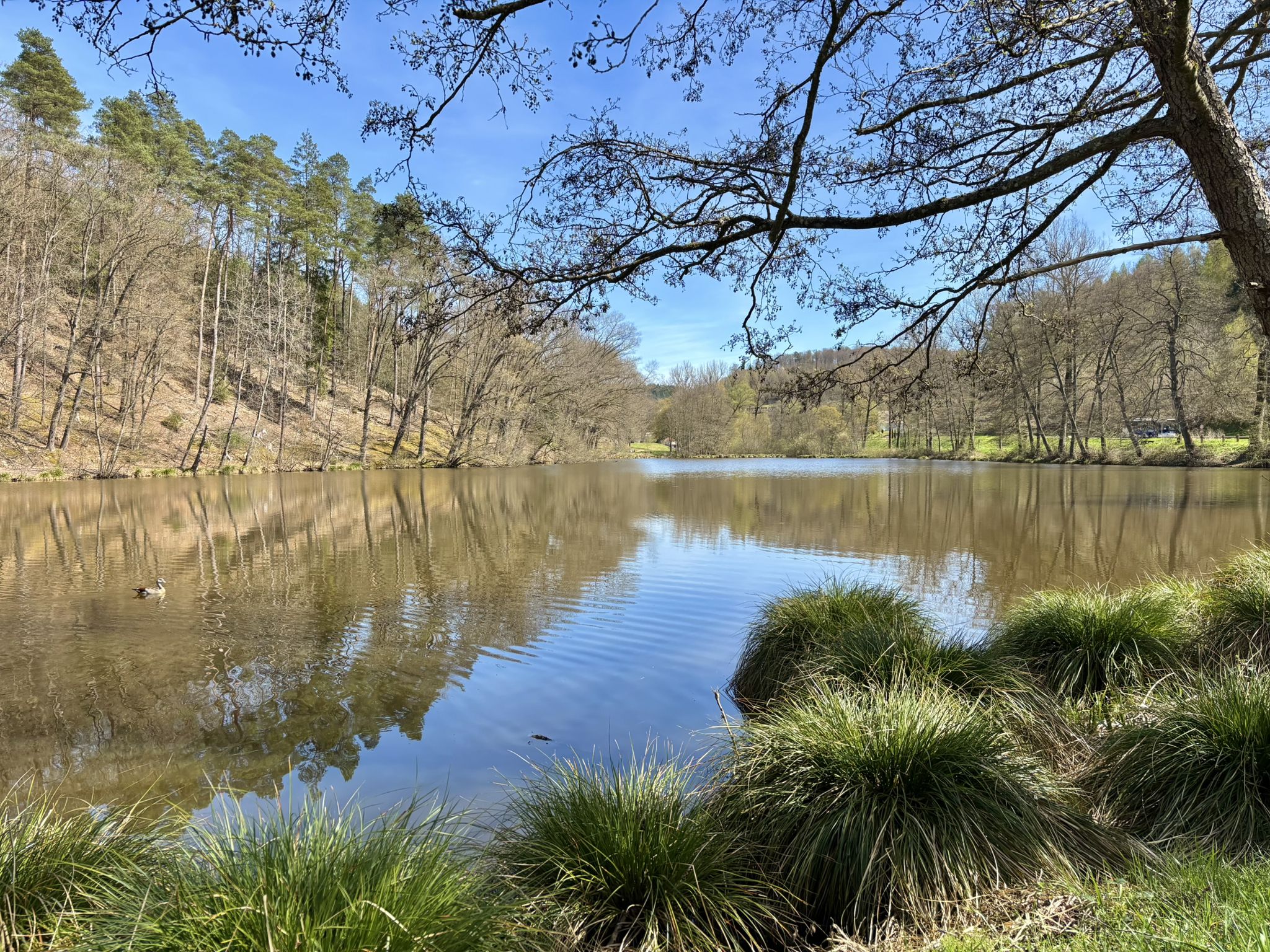 Etang du Moulin