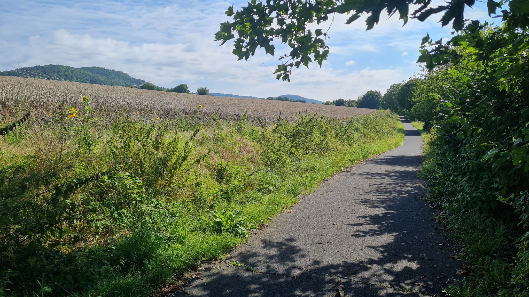 Radweg neben der B 26