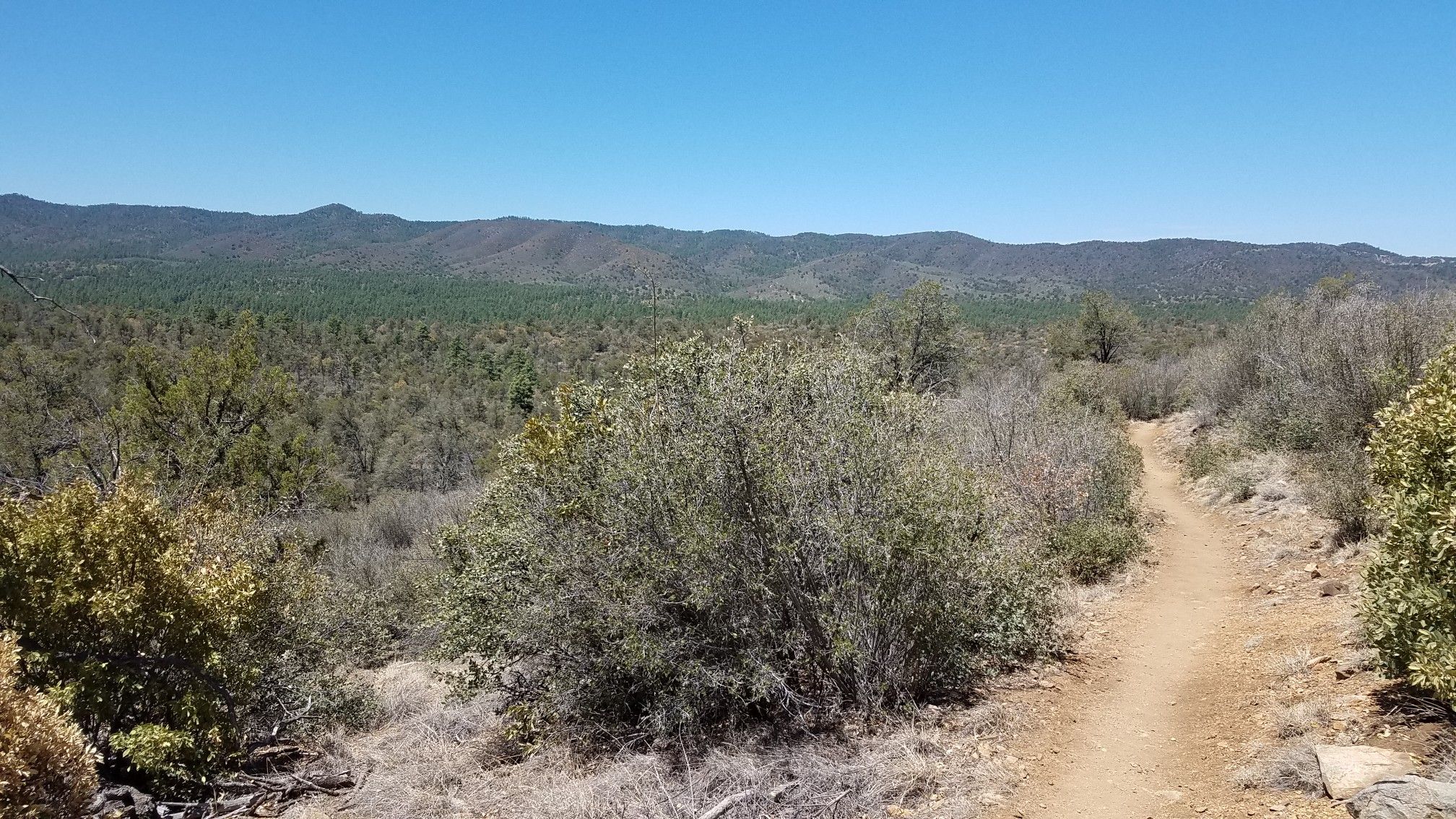 Dirt path winding through dry brush and trees under a clear sky. - Salida Gulch Trail Loop