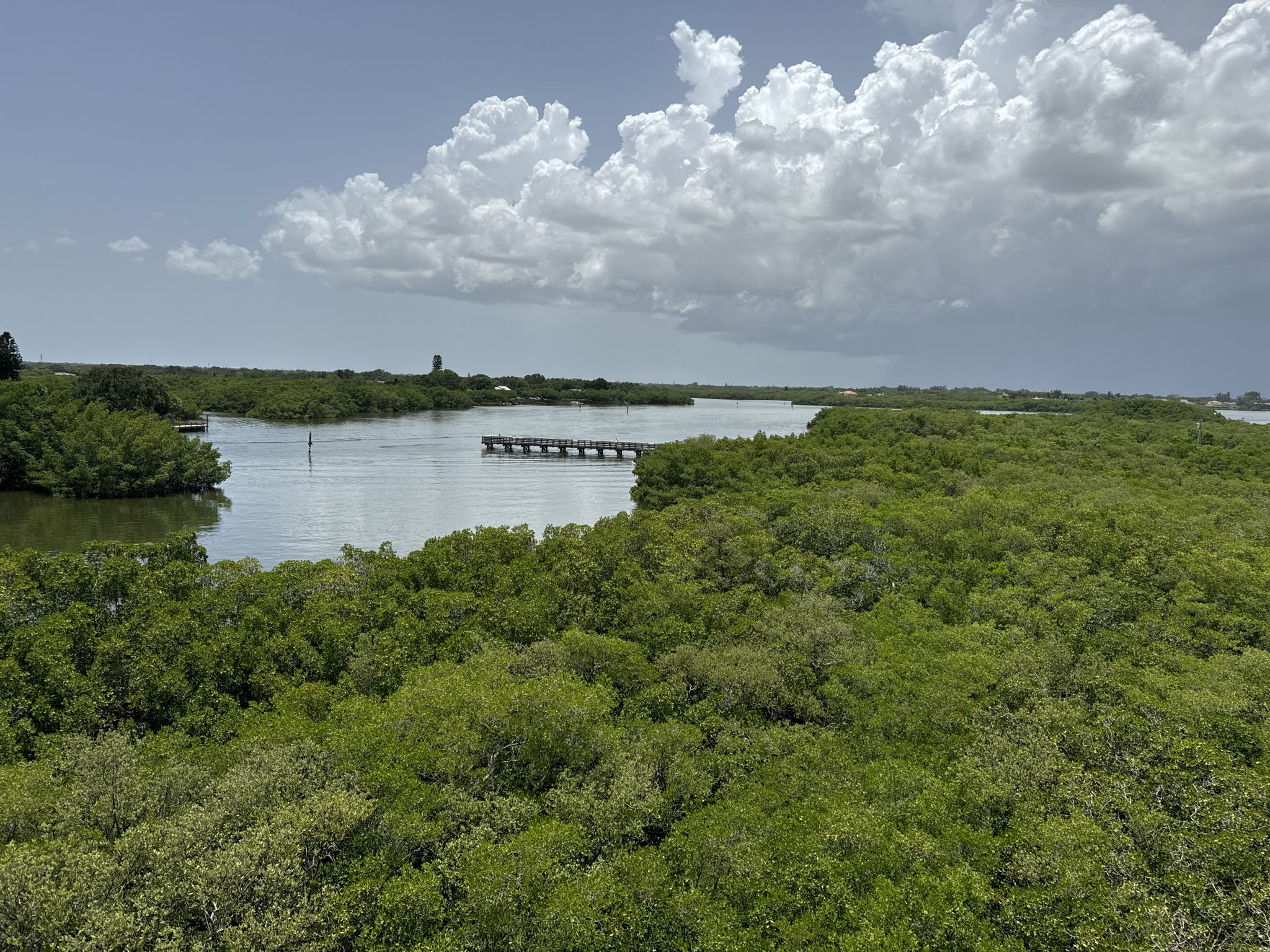 Aerial view of a wide river surrounded by dense green trees under cloudy sky. - Boy Scout and Upland Trail Loop