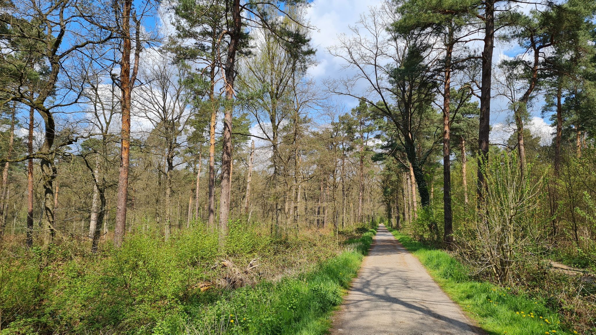 Naturschutzgebiet Hiesfelder Wald