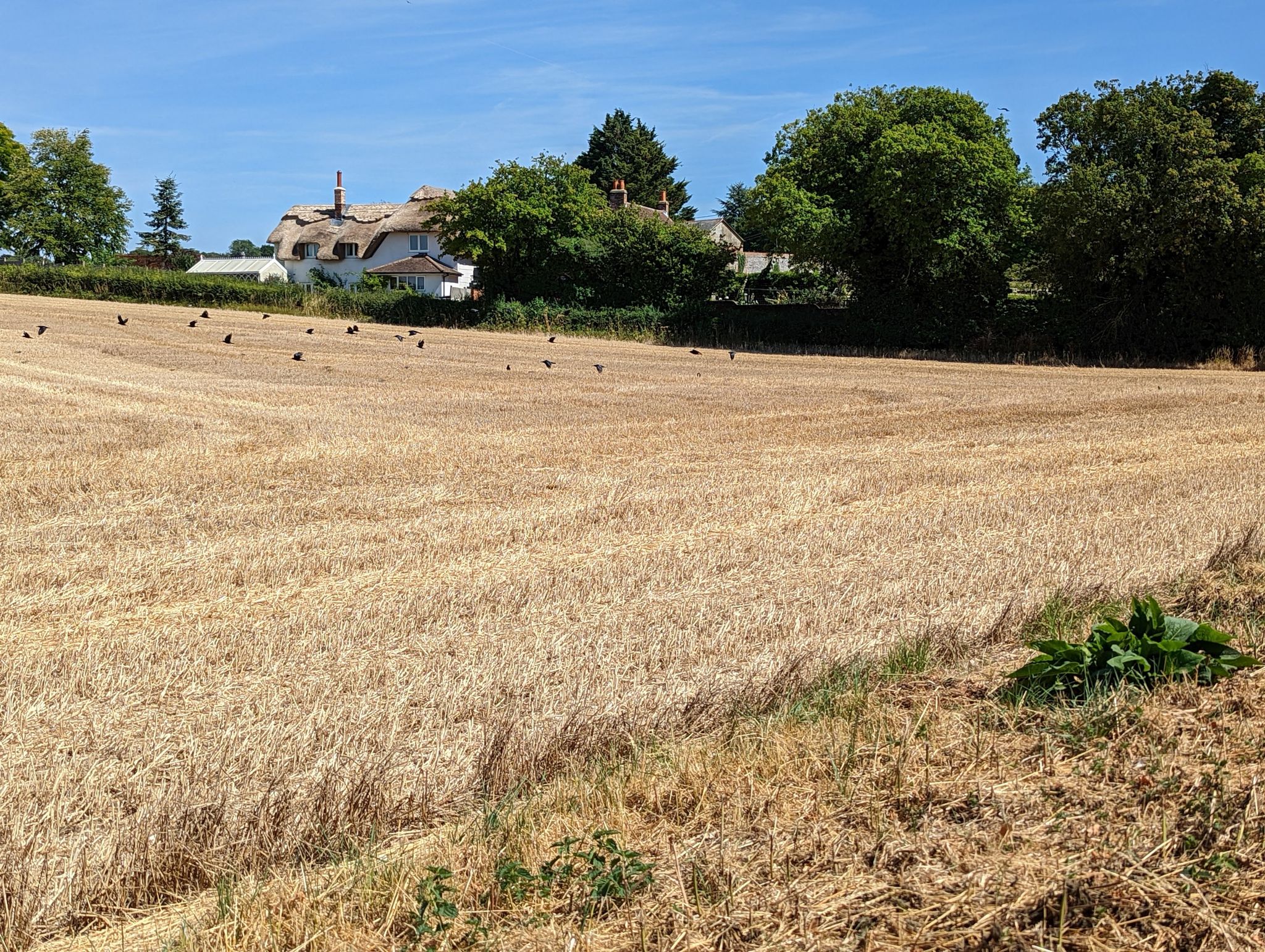 Berrywood Lane near Bradley