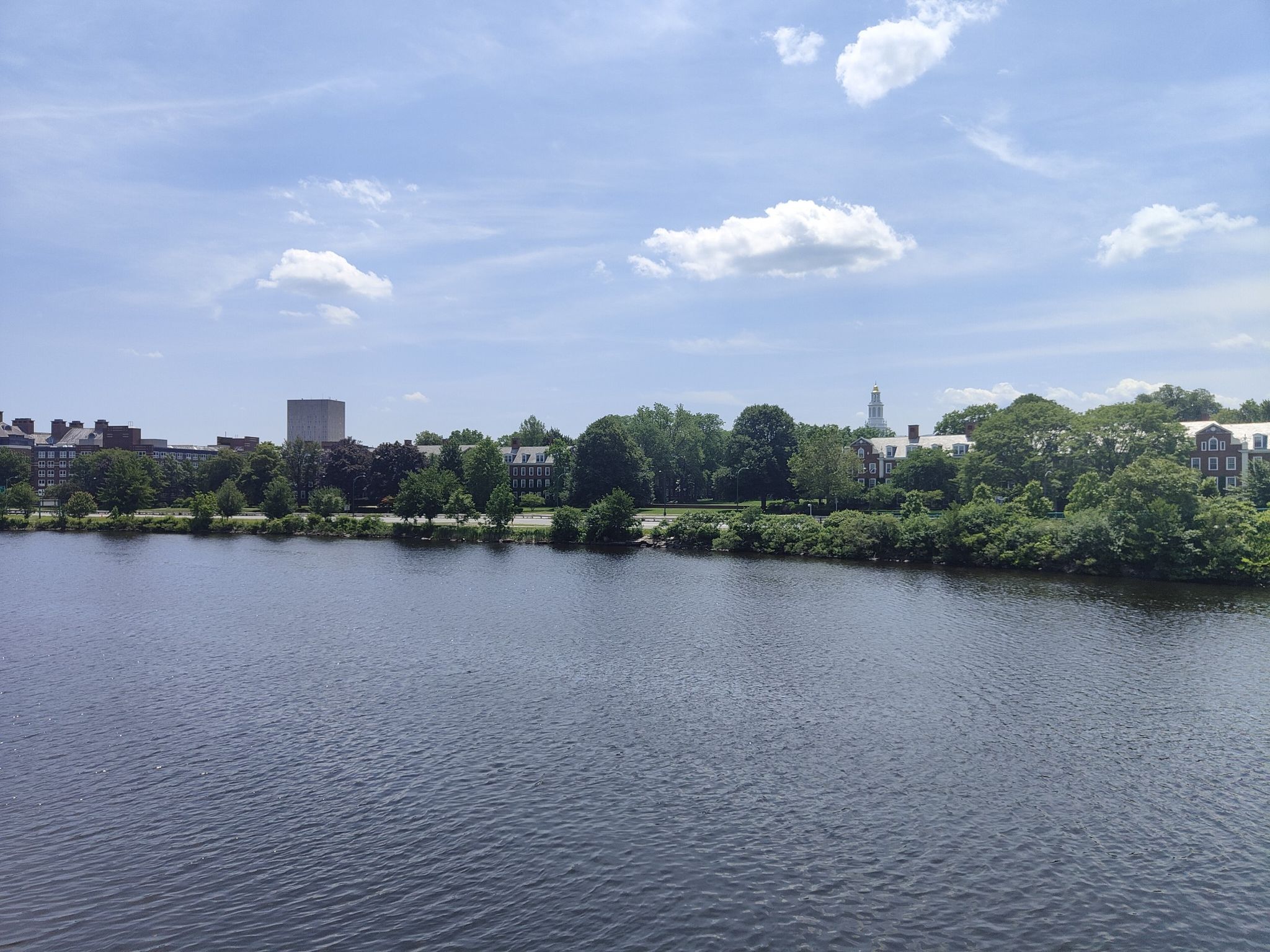A wide river flows past a distant city skyline with trees under a partly cloudy sky. - Dr. Paul Dudley White Path