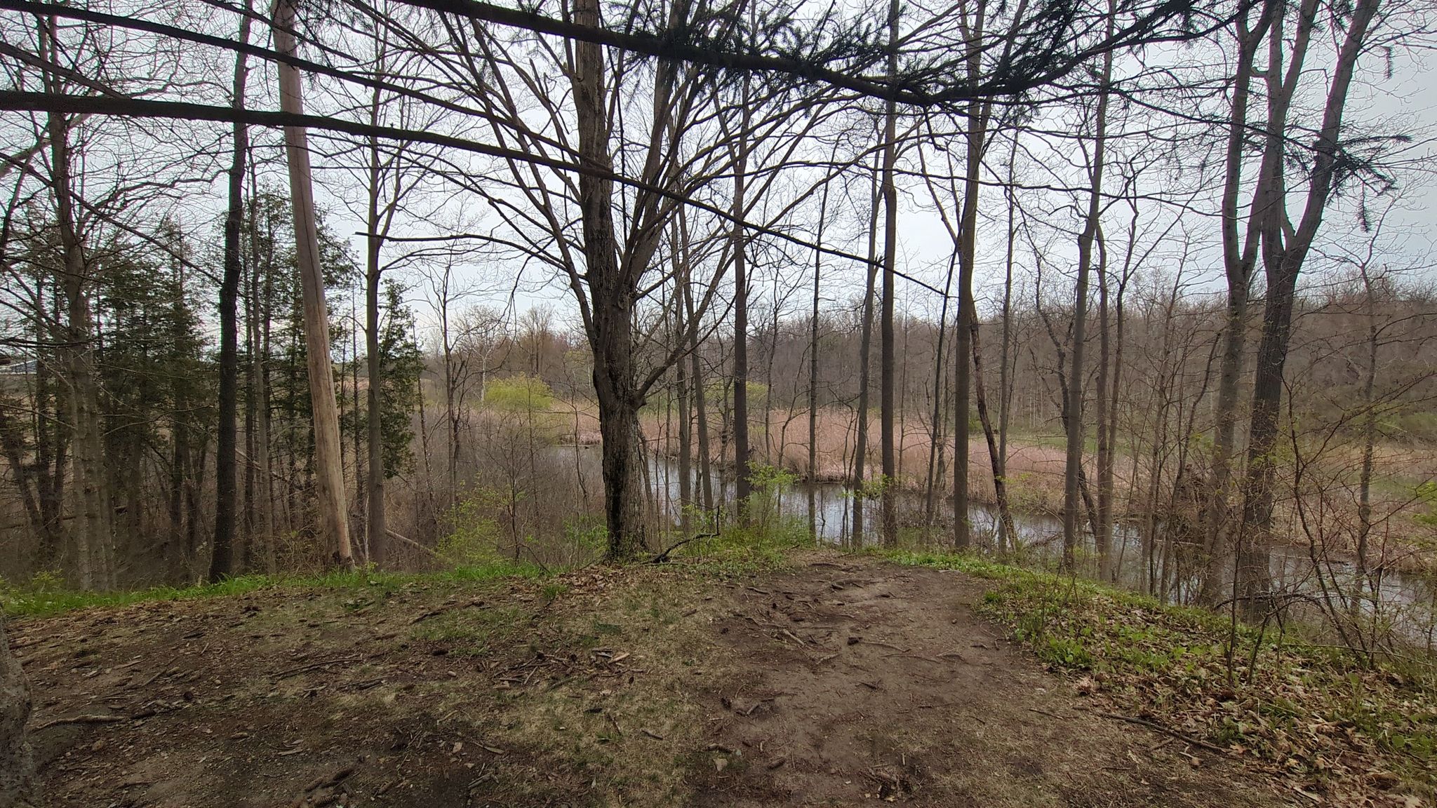 View on the Hollands Ponds