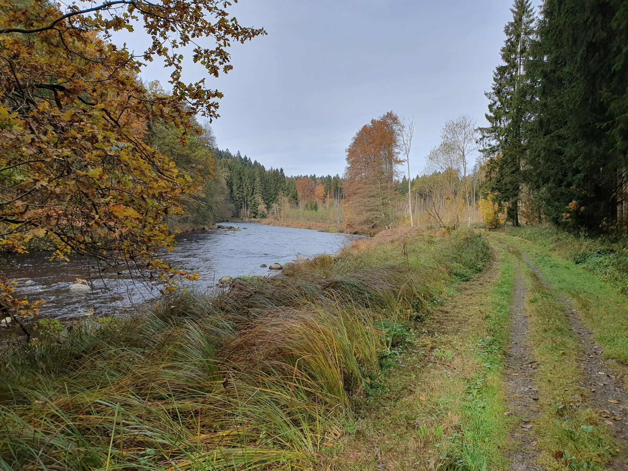 Das Ilztal wird weiter