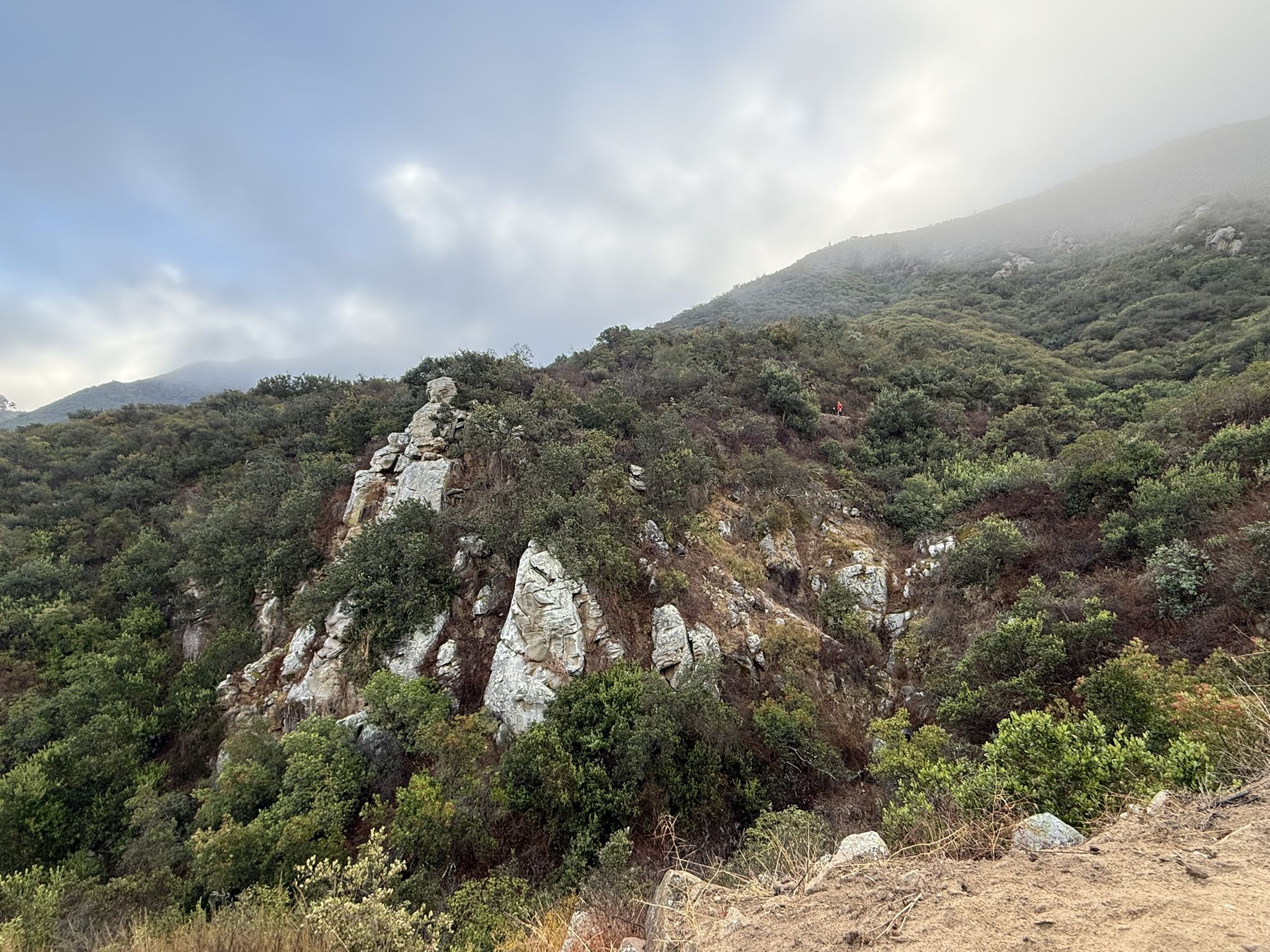 A rocky, tree-covered hillside with white rock outcrops under a cloudy, misty sky. - Elfin Forest Loop