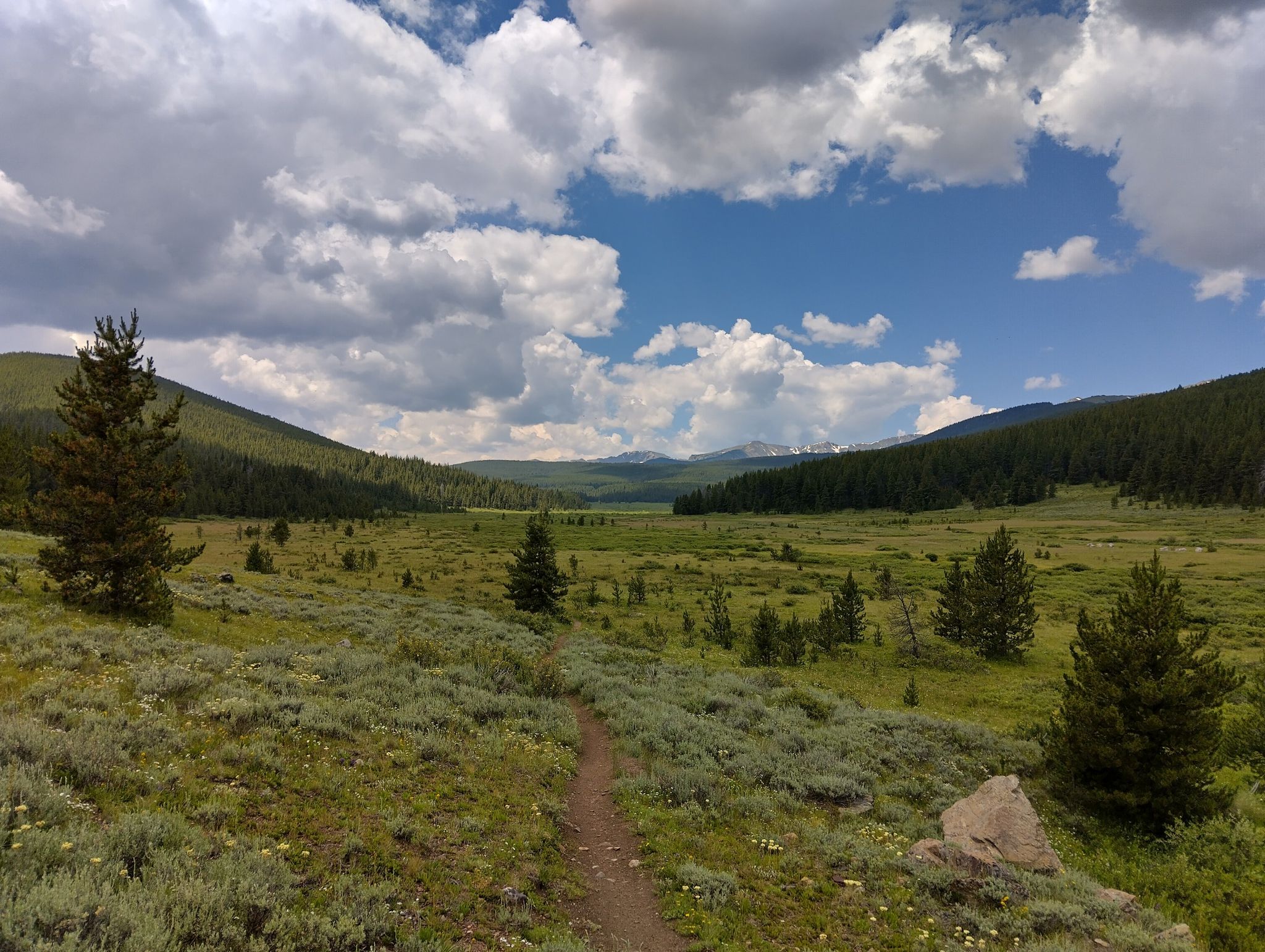 A dirt path winds through a sunny valley with sagebrush and pine trees. - Vance's Cabin