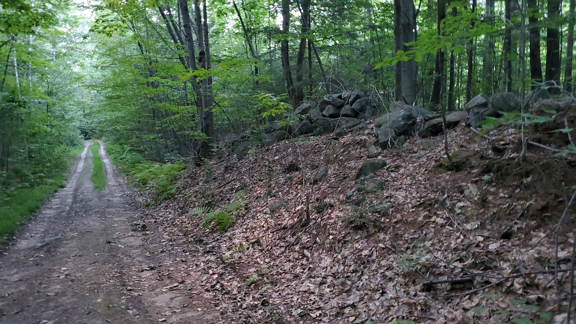 deer valley