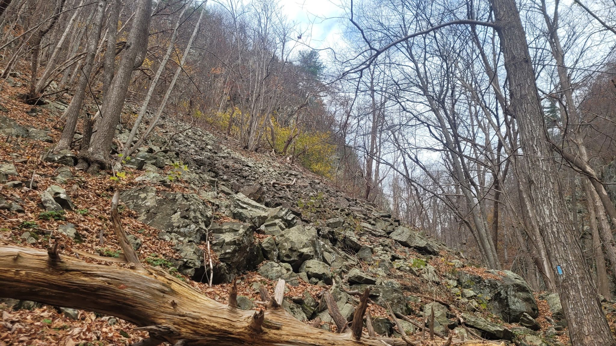 Steep, rocky forest hillside with bare trees and fallen leaves under cloudy sky. - Little Devils Stairs and Keyser Run Loop