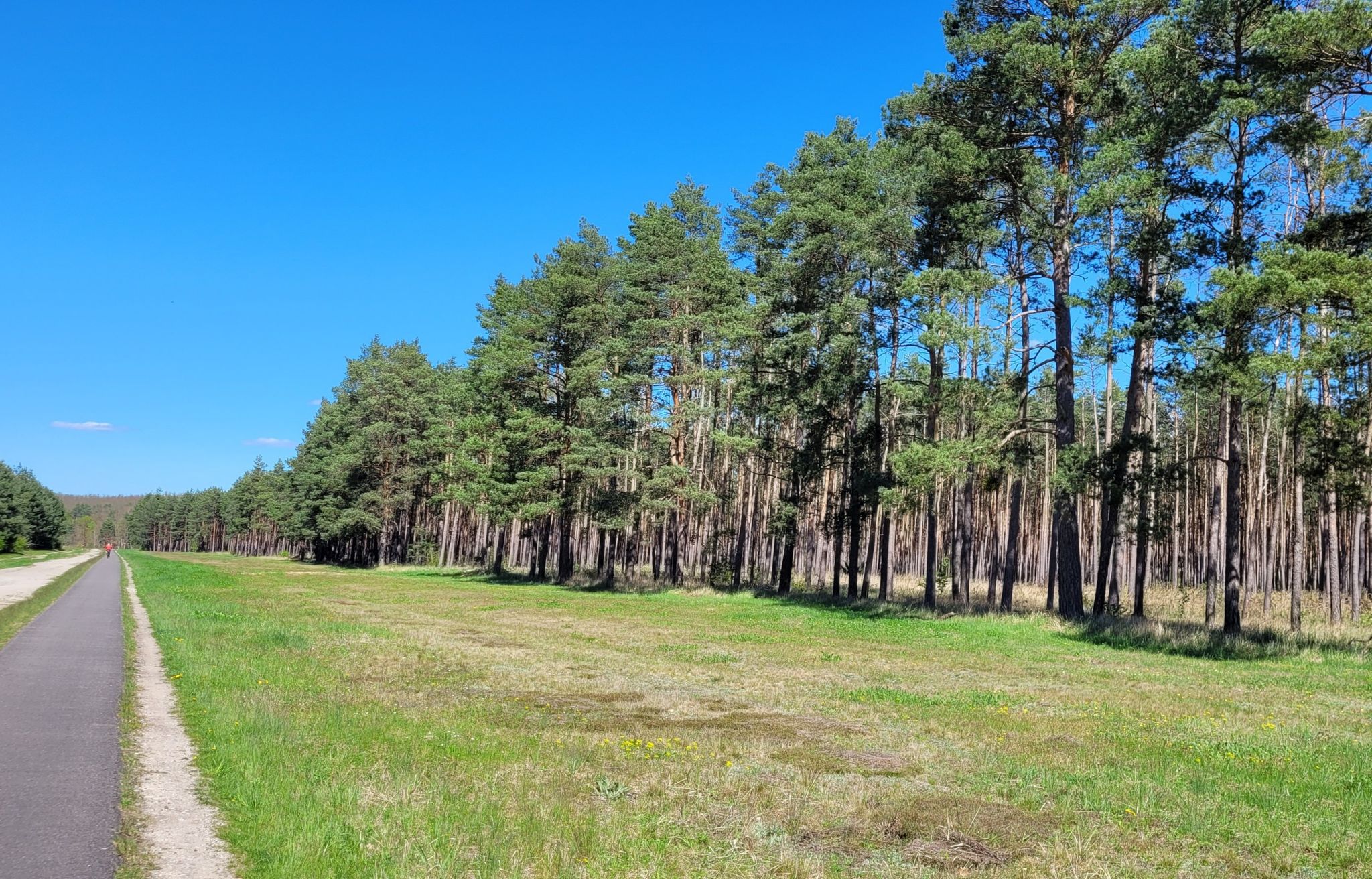 Durch die Heide zurück nach Oranienbaum