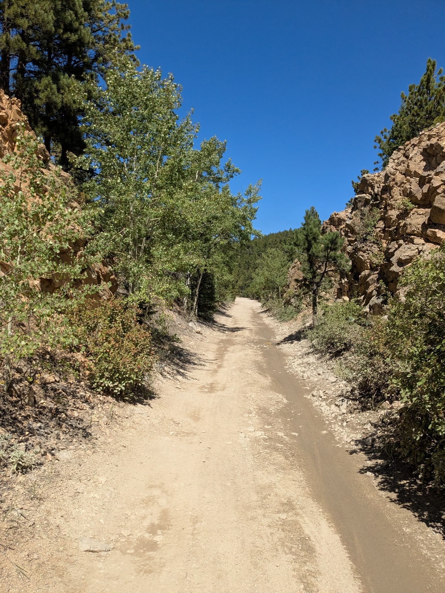 A dirt road between rocky banks and trees under a clear blue sky. - Switzerland Trail