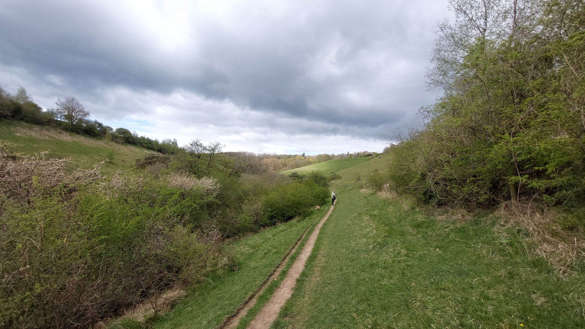The West Yatton Down