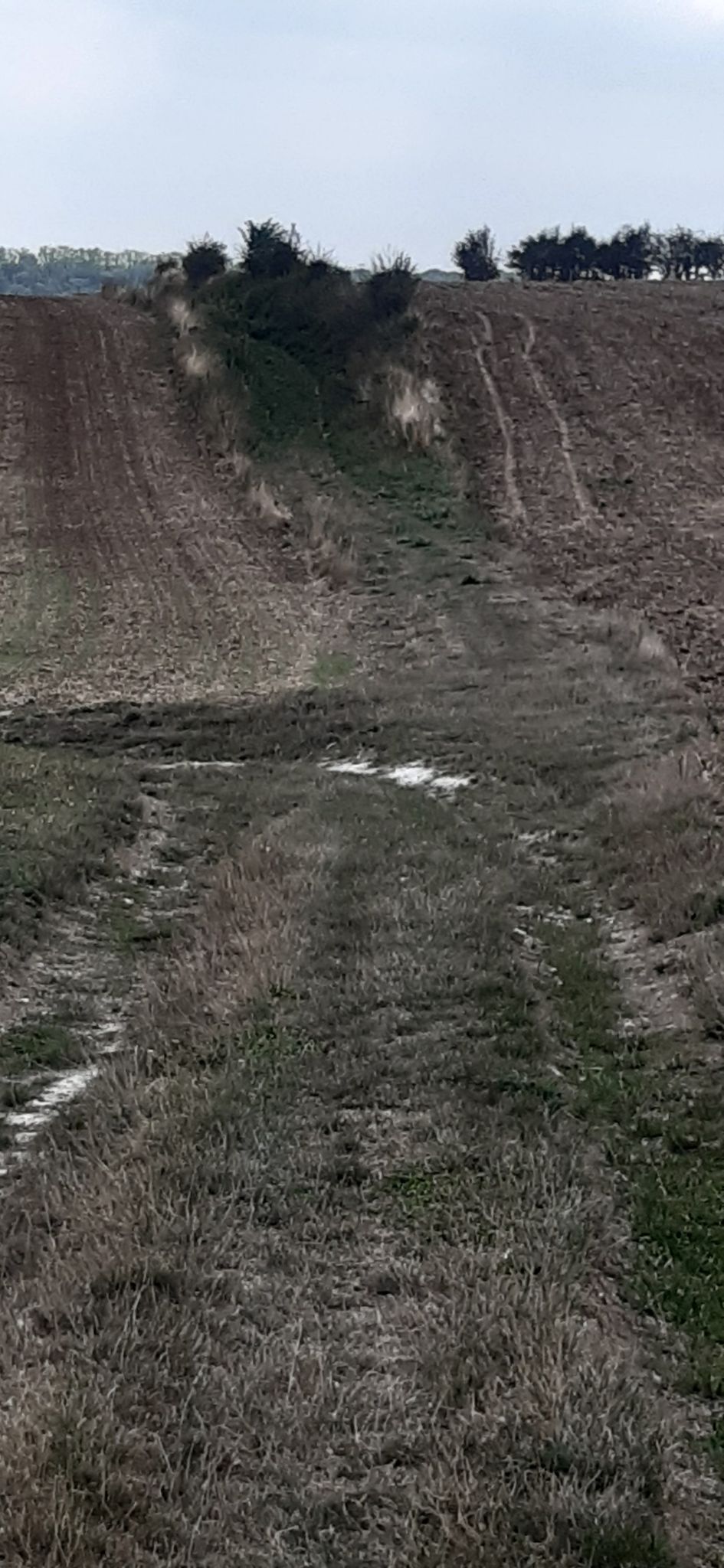 Toujours tout droit.
