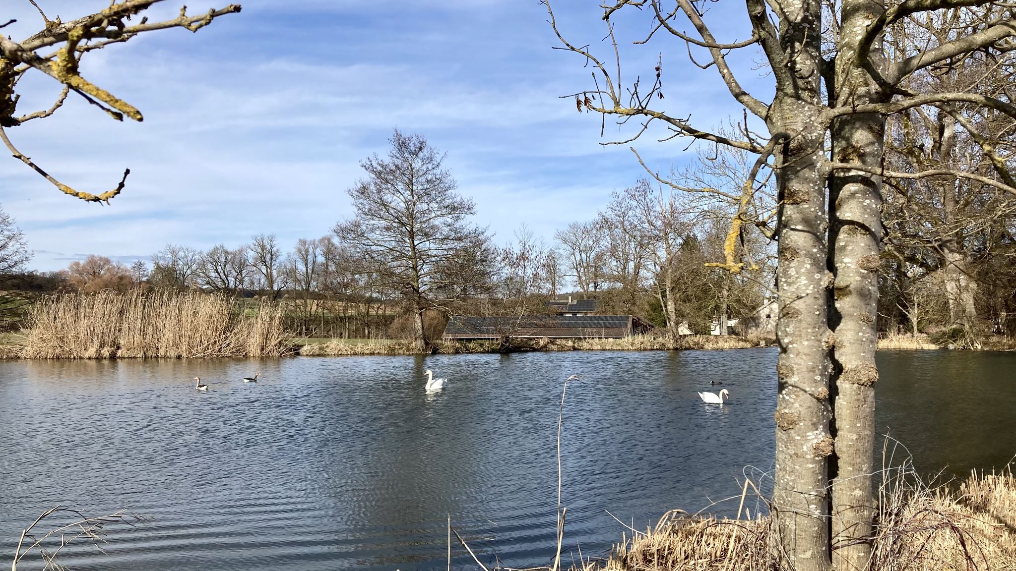 Schwanensee