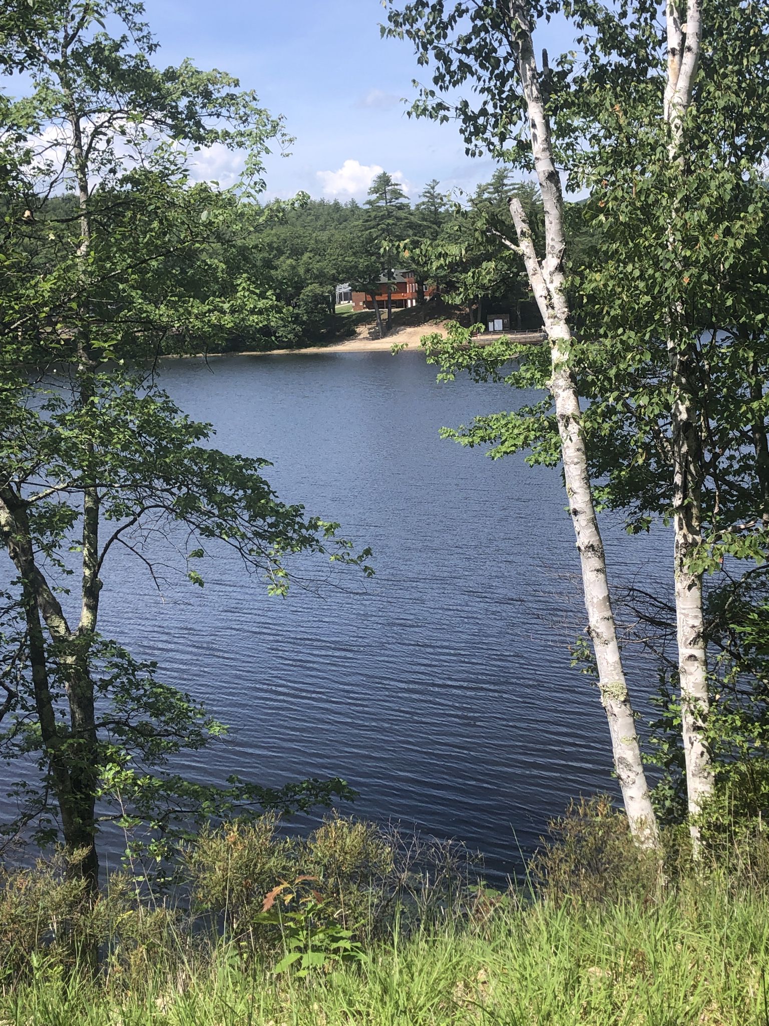 Large lake framed by green trees, with a sandy shore and distant buildings. - Elkins Beach – Lake View loop from Esther Currier Wildlife Management Area at Low Plain