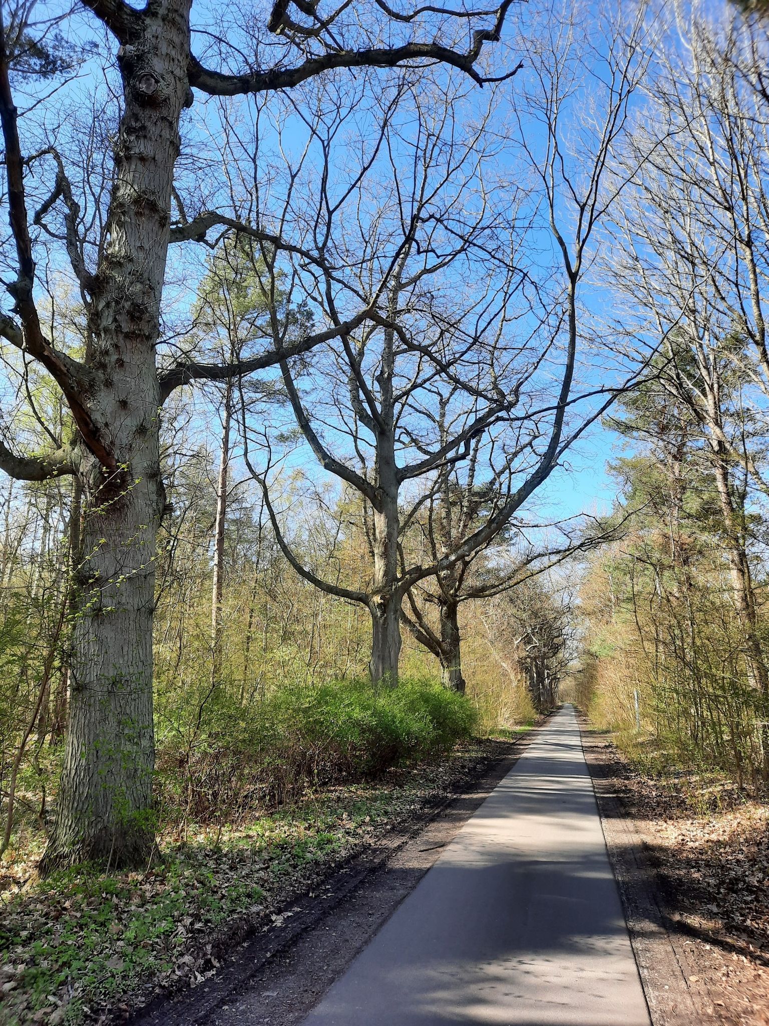 5 km bis Peenemünde