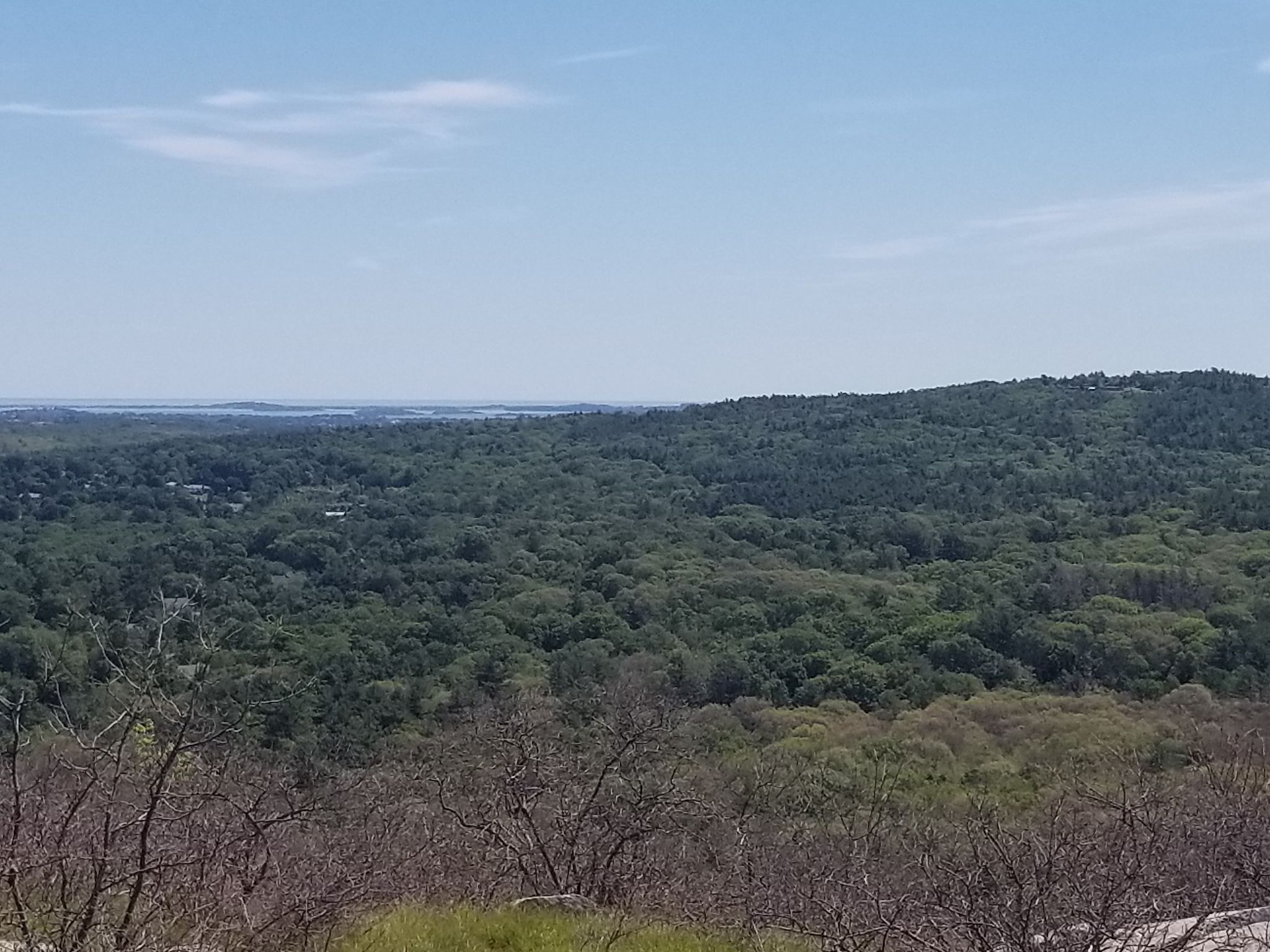 Vast green forest under a clear blue sky, with distant water visible. - Hancock Hill and Jeffries Trail Loop