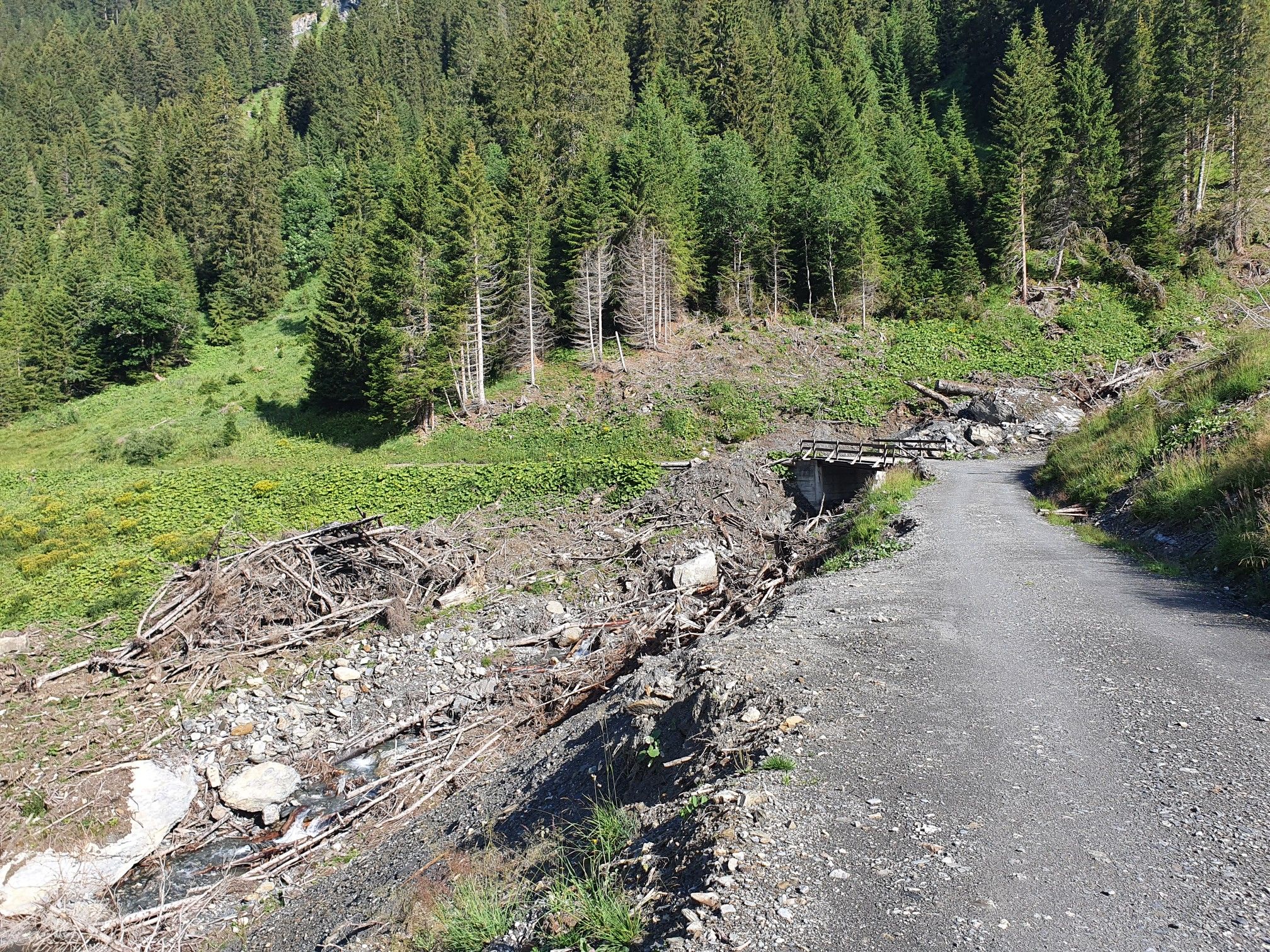 Lawinenschutt im Bachtobel