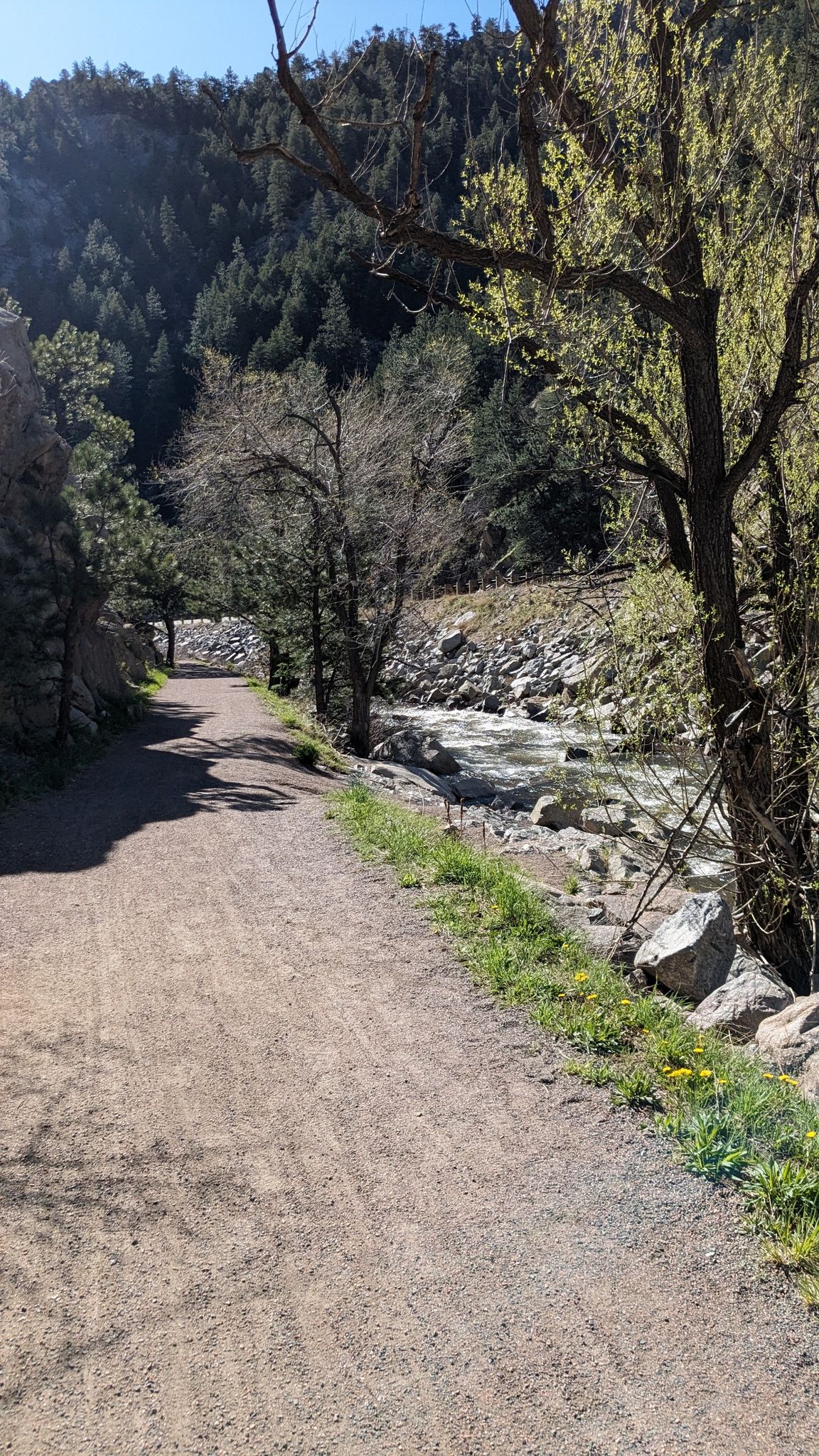 A sunlit dirt path runs beside a rocky river and forested hillside. - Boulder Canyon to Baker Reservoir in Nederland