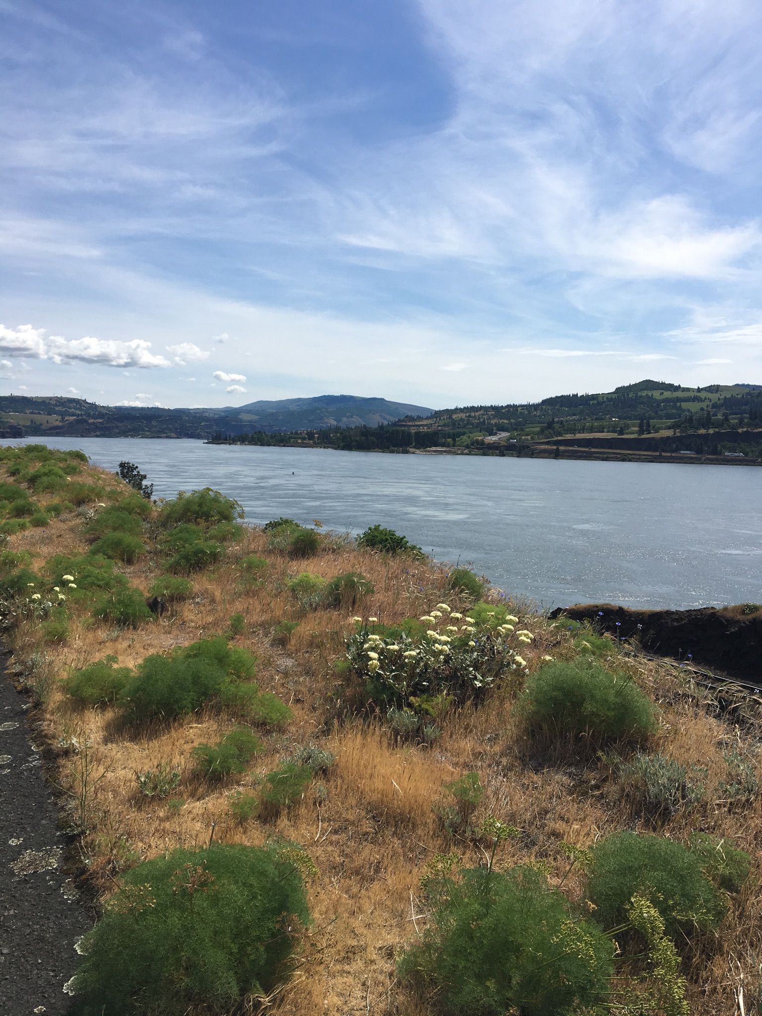Grassy hillside with shrubs overlooking a wide lake and distant mountains. - Columbia River Gorge Scenic Byway: Washington
