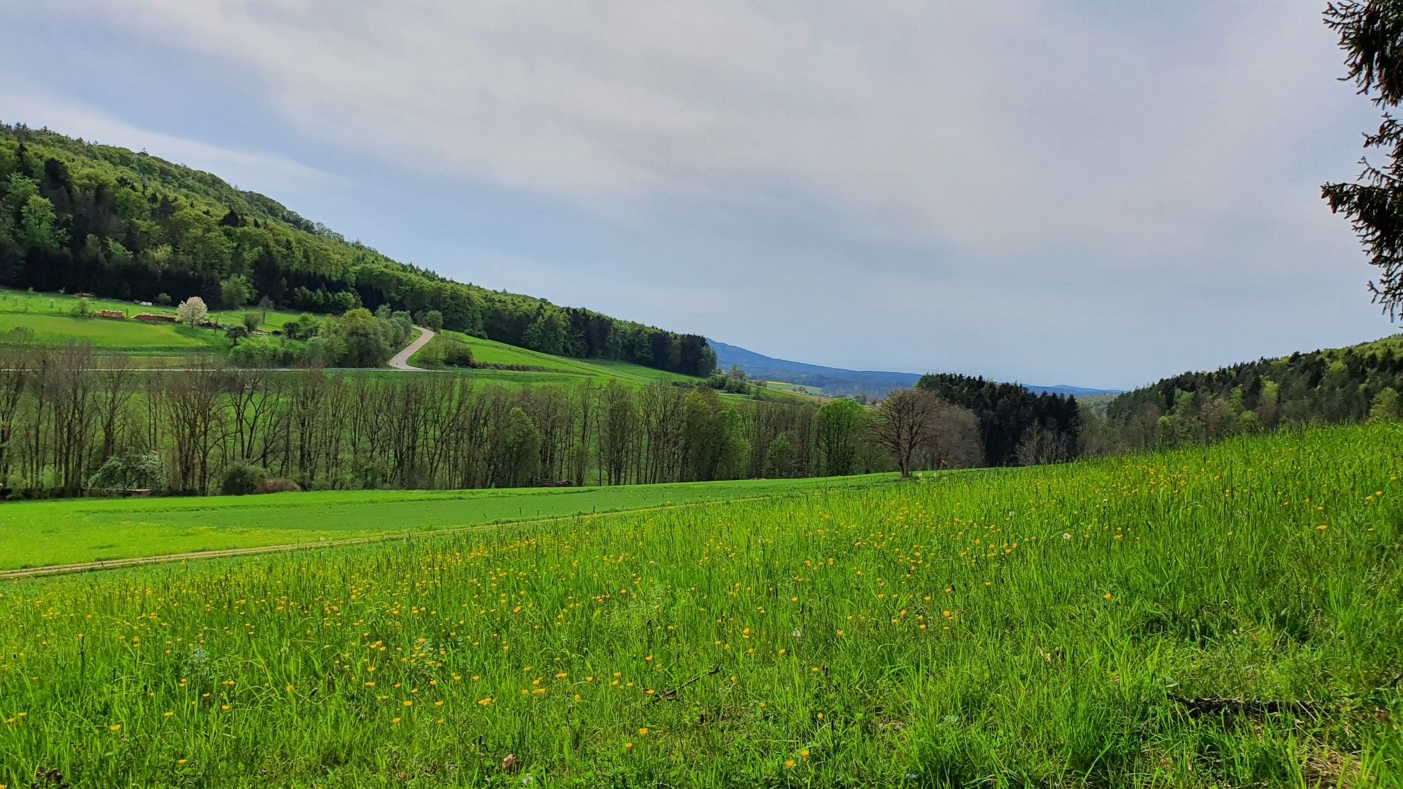 Blick Richtung Kruppach