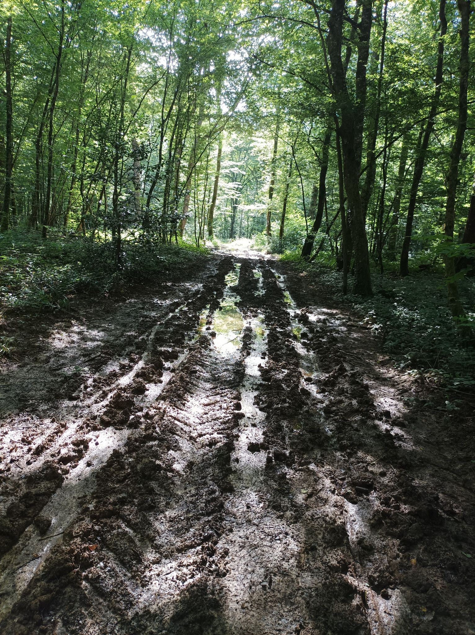 spannender Weg