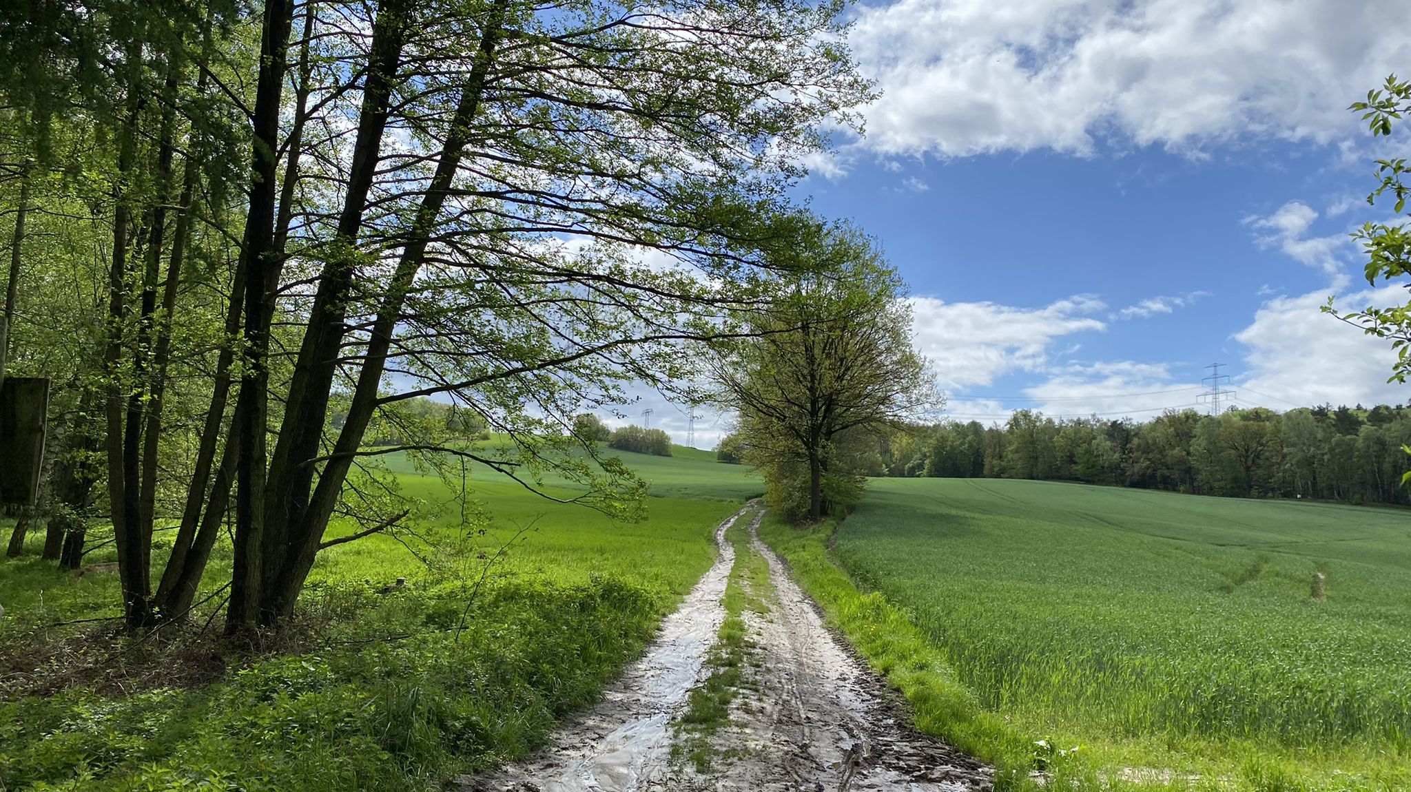 Start der Schlammschlacht