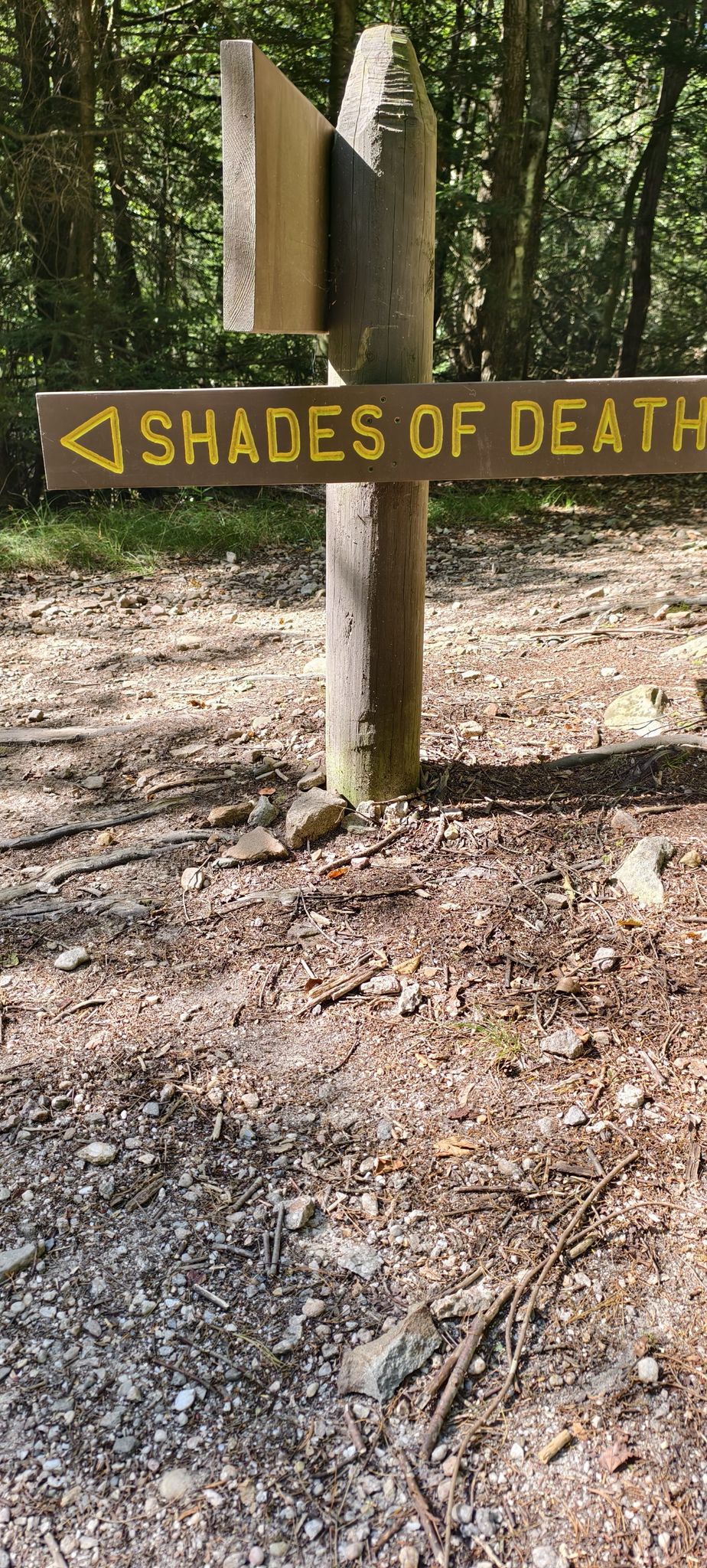 Close-up of a wooden trail sign "SHADES OF DEATH" on a sunny path. - Sand Spring and Pine Hill Trail Loop