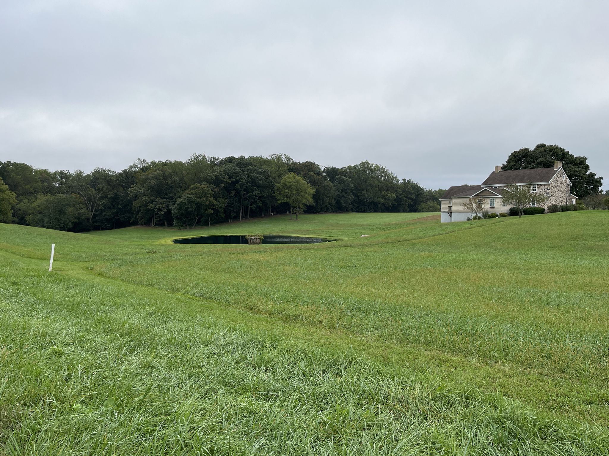 A large green field with a pond, house, and trees under an overcast sky. - Strahorn, Creek Road, and Little Egypt Loop